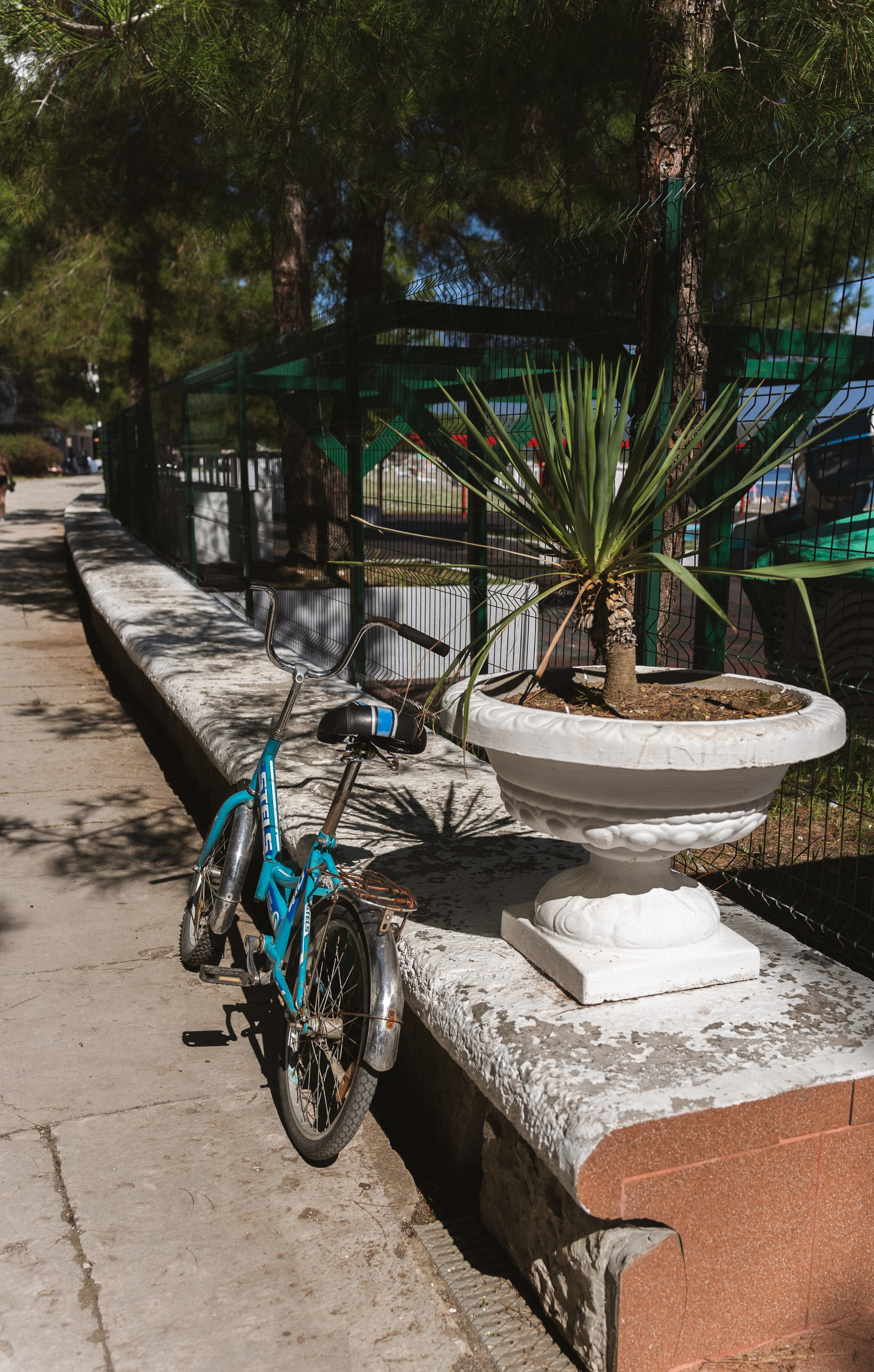 Фотографии из поездки в Абхазию. Предметный фотограф Санкт-Петербург