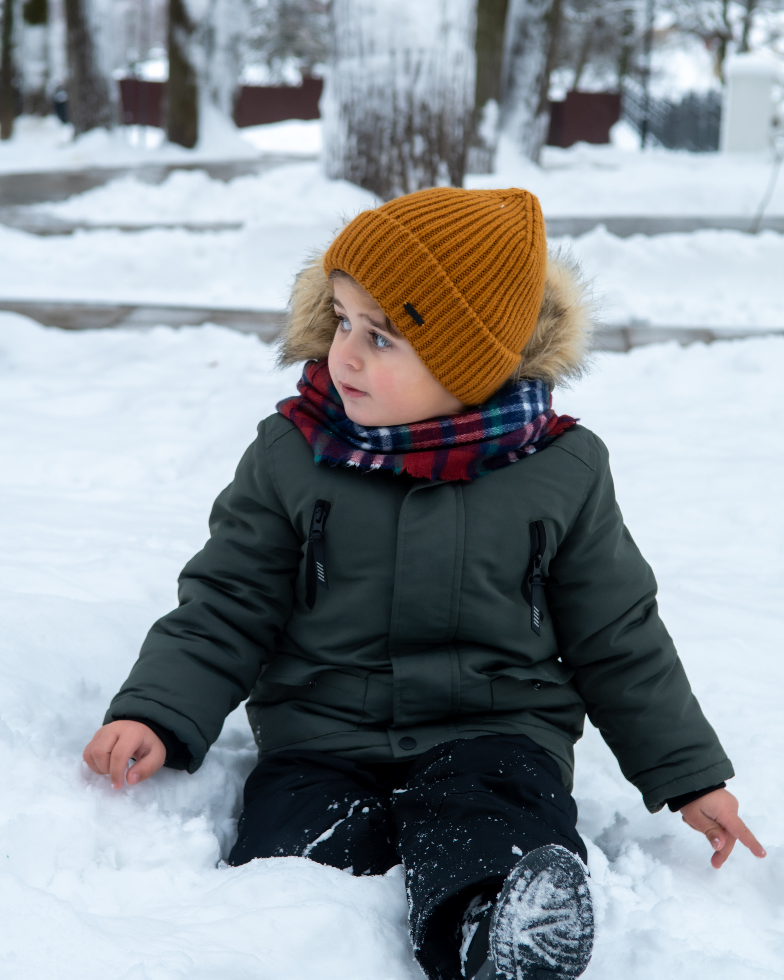 Зима. Фотограф Москва