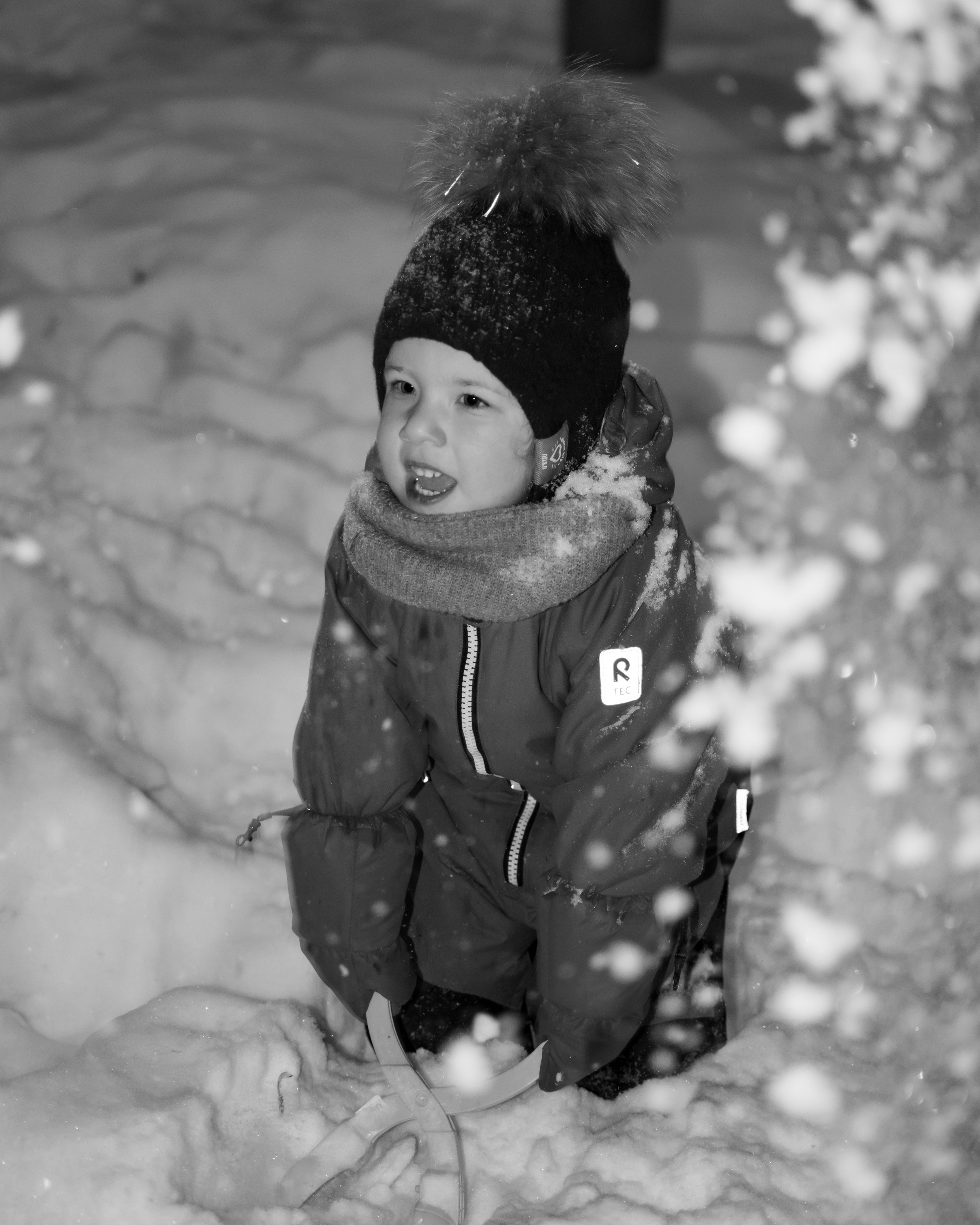 Зима. Фотограф Москва