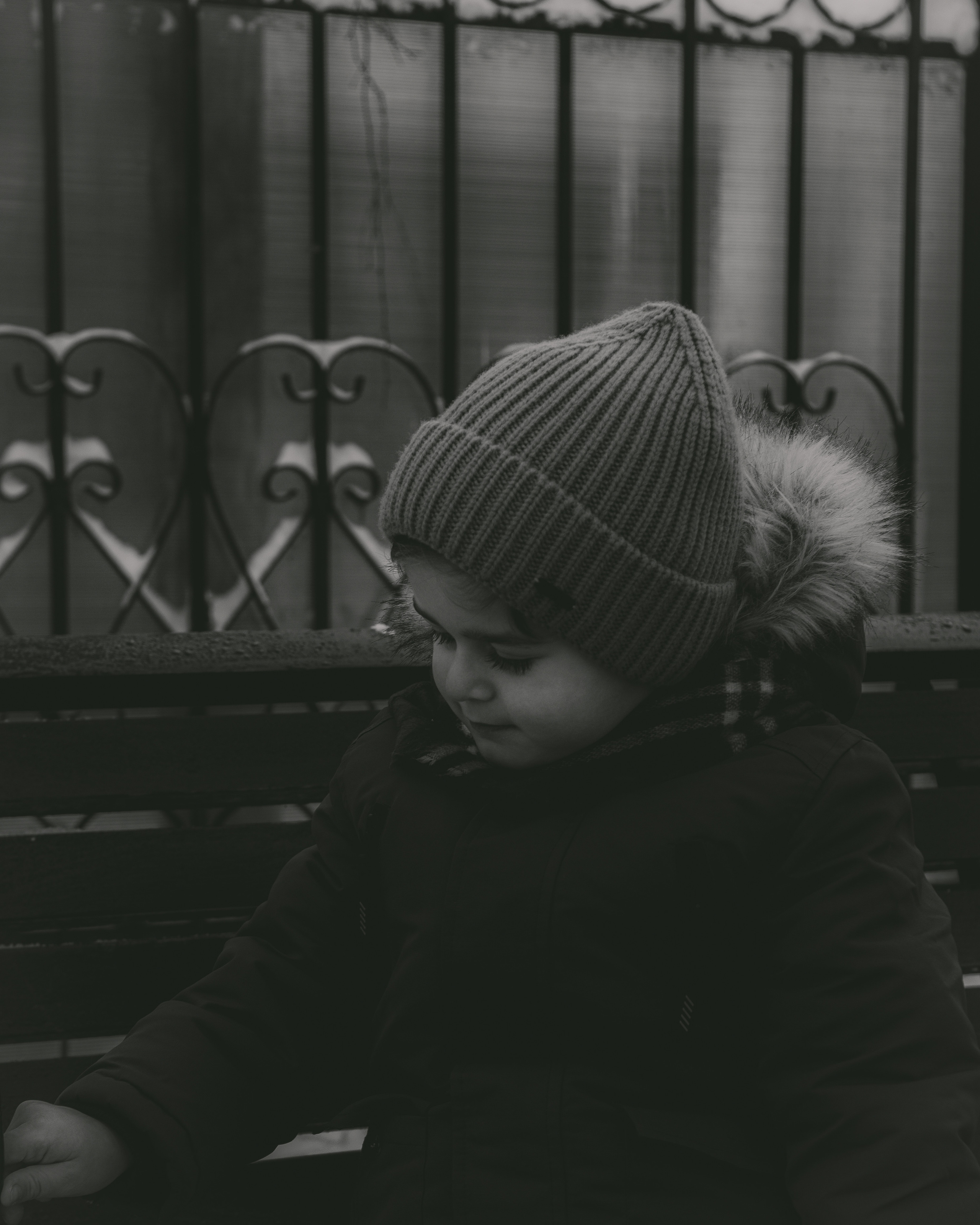 Зима. Фотограф Москва