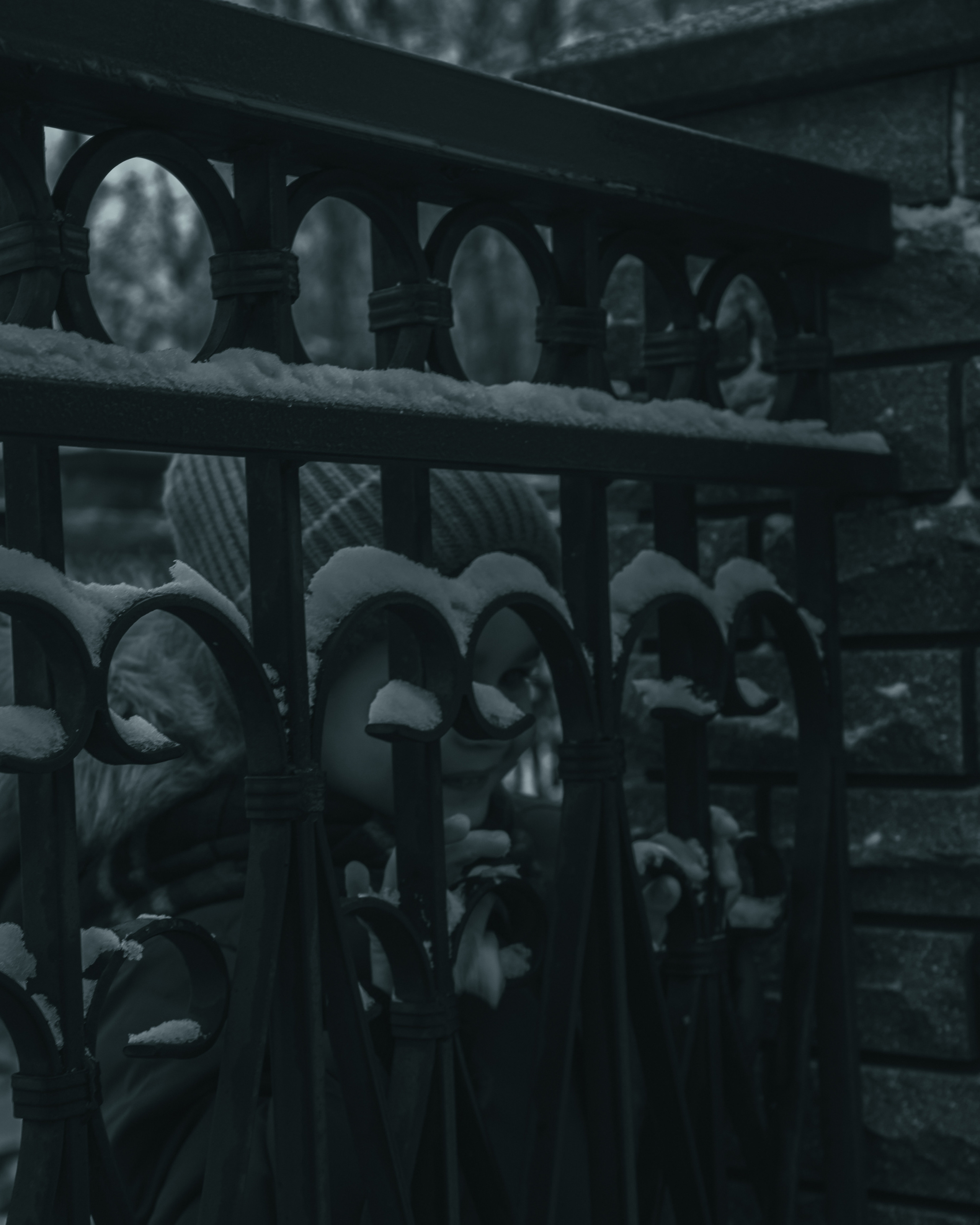 Зима. Фотограф Москва