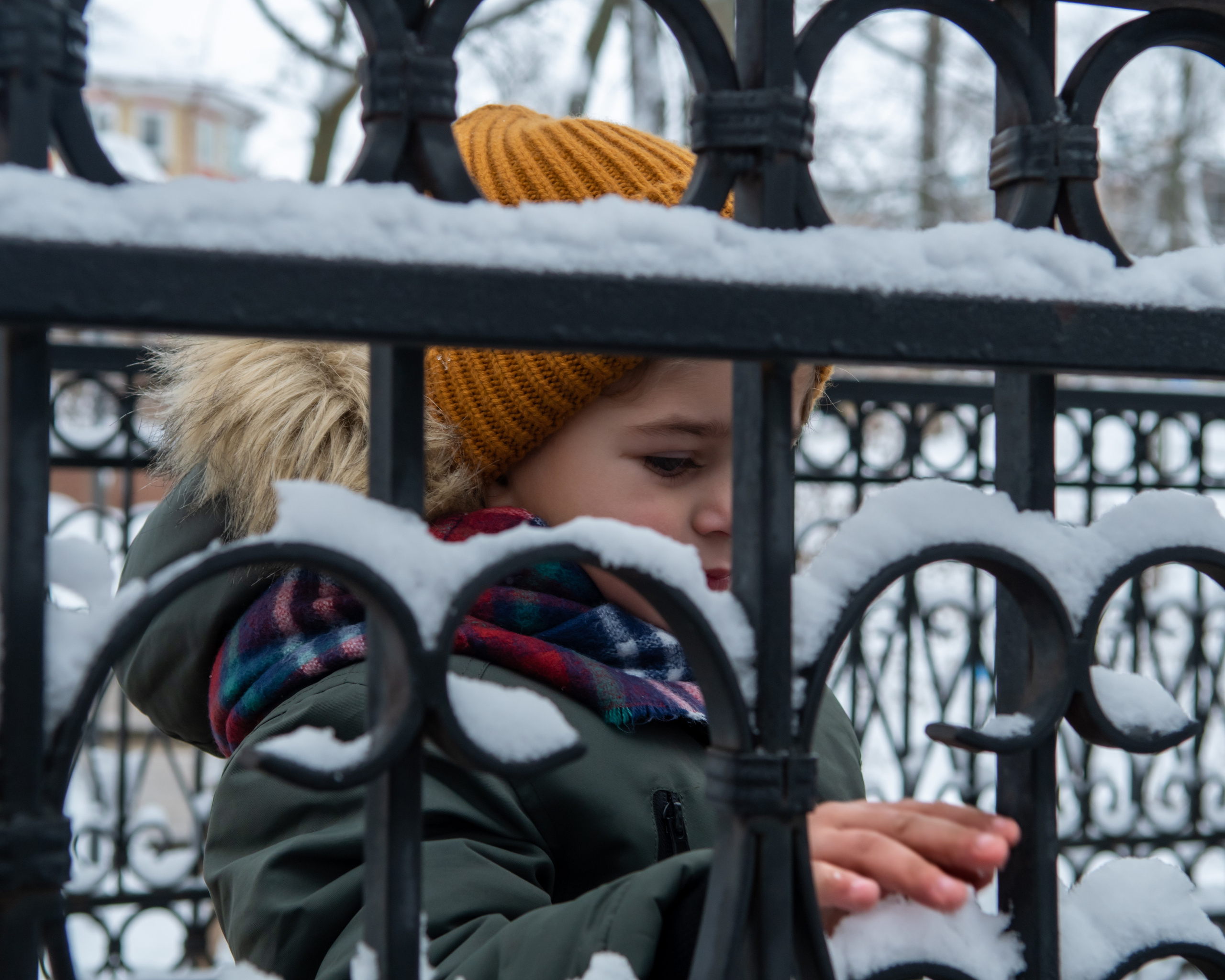 Зима. Фотограф Москва