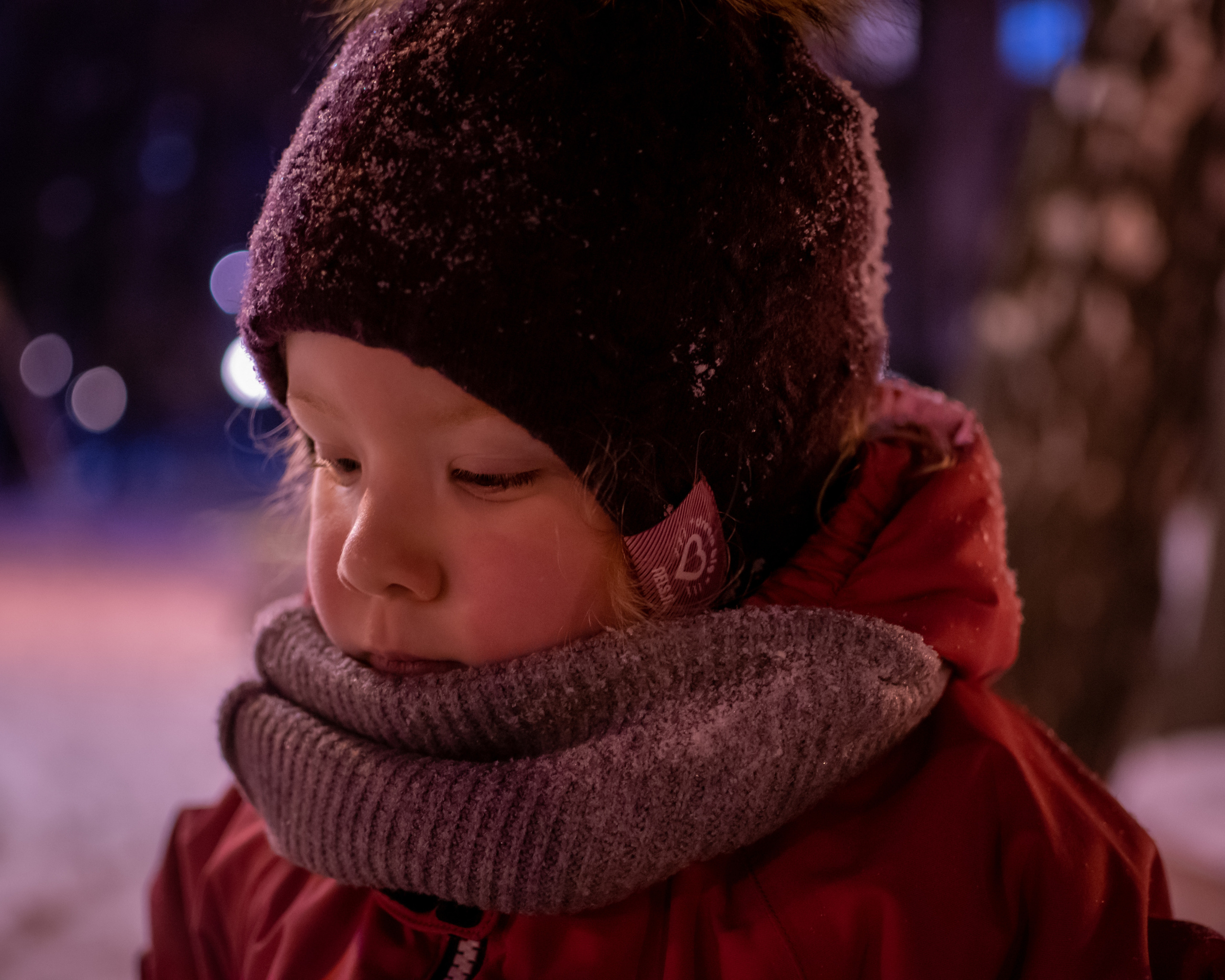 Зима. Фотограф Москва