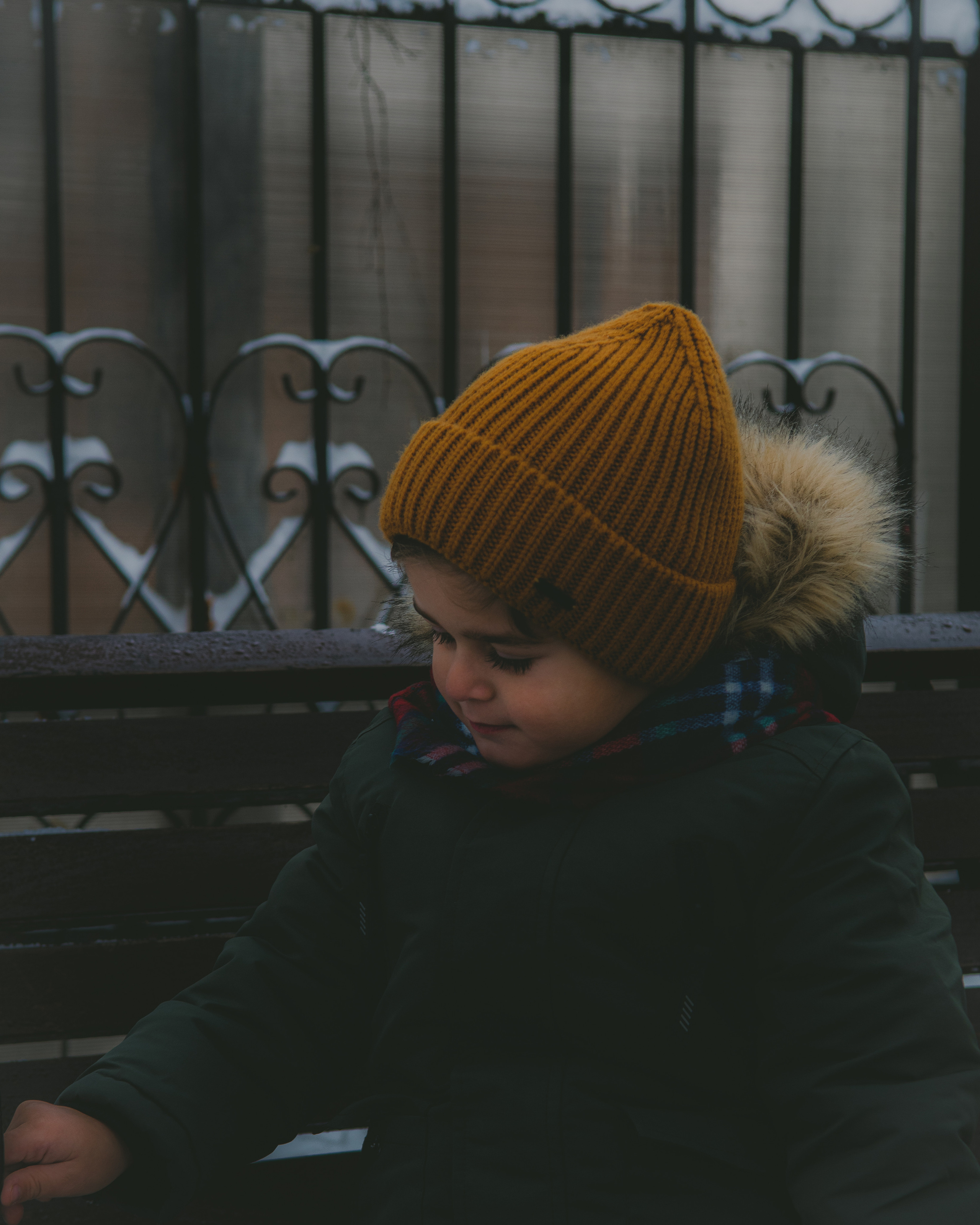 Зима. Фотограф Москва