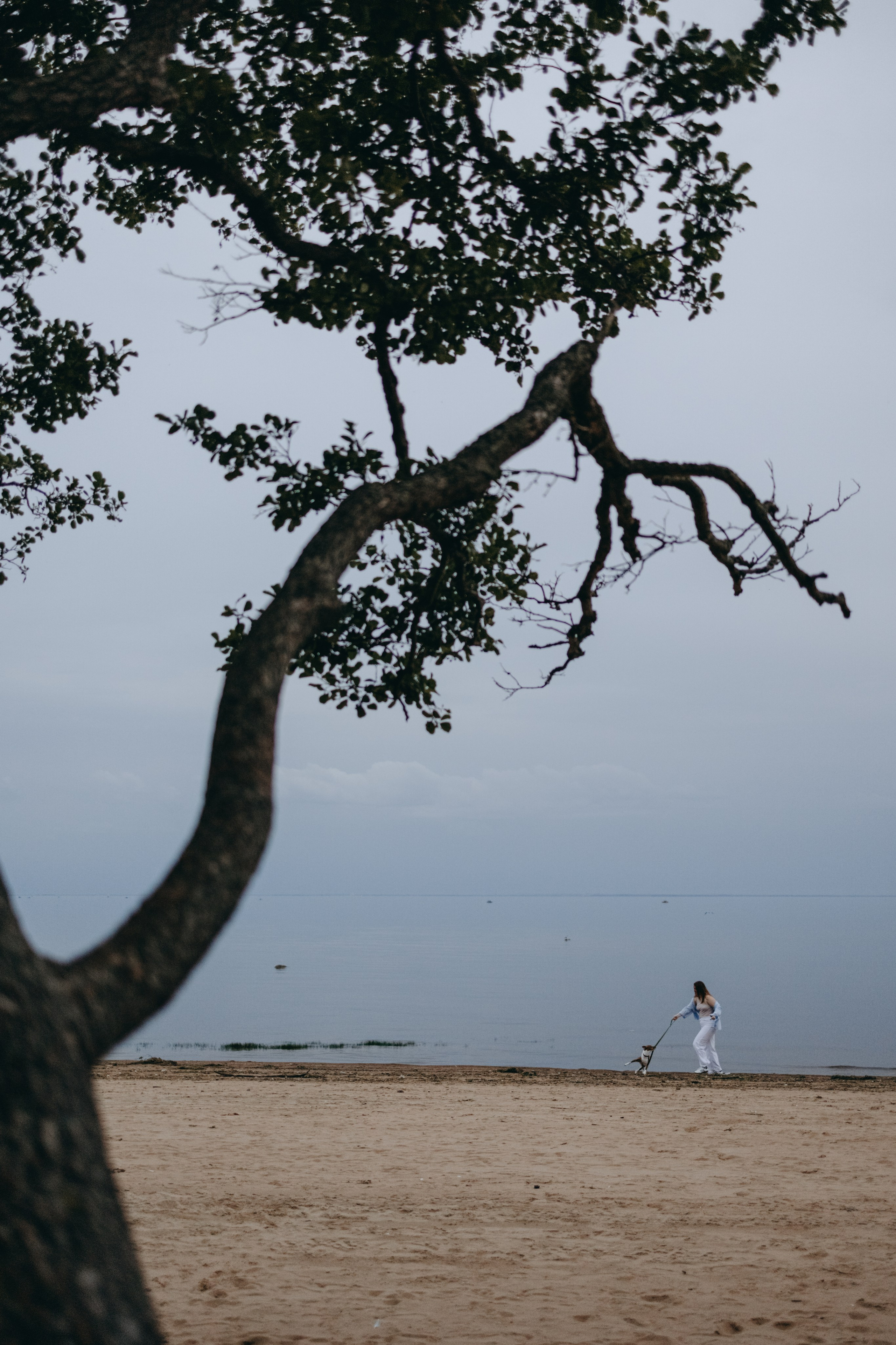 Даша и Арчи. Фотограф — Анималист | Санкт-Петербург