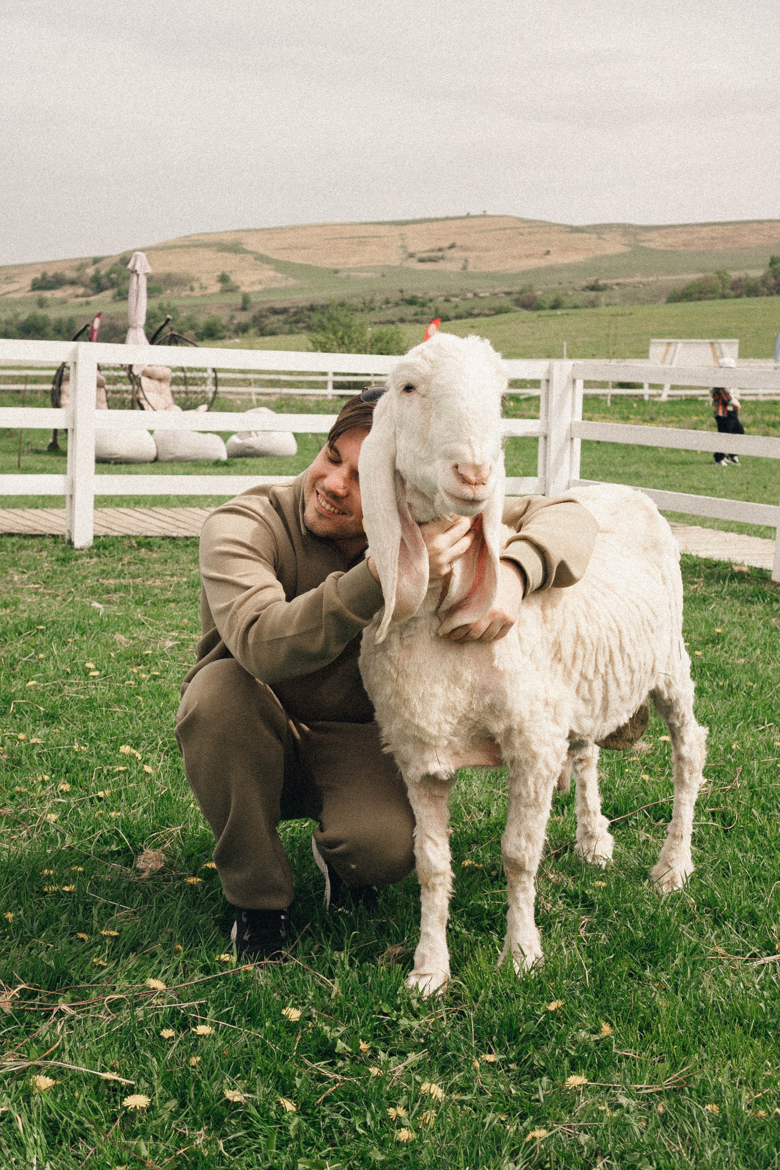 Ферма Альпак. Профессиональный фотограф, Санкт-Петербург — Виктория Богомолова