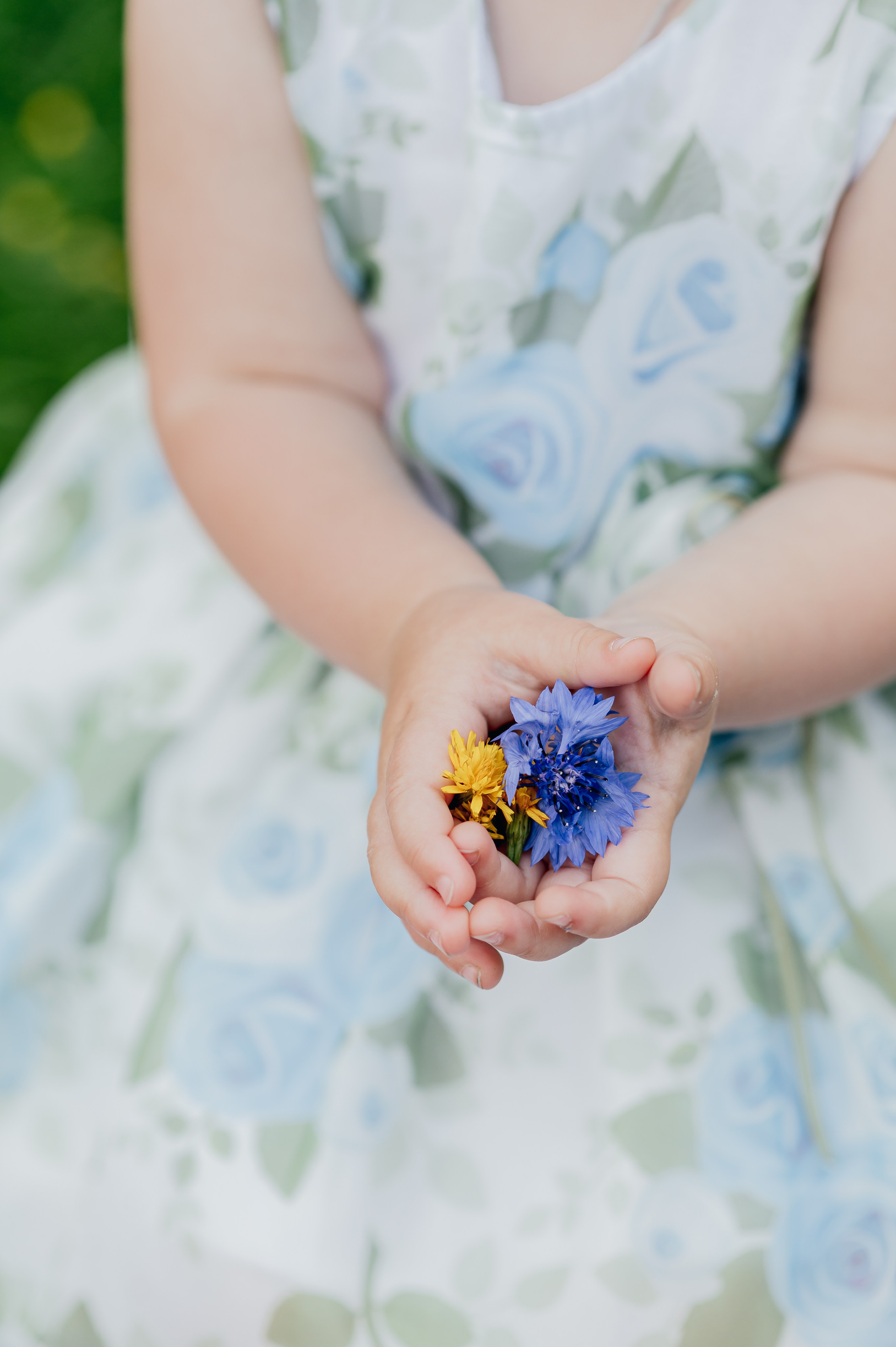 ЛЕТНИЙ ПИКНИК. Профессиональный репортажный, коммерческий фотограф в Санкт-Петербурге
