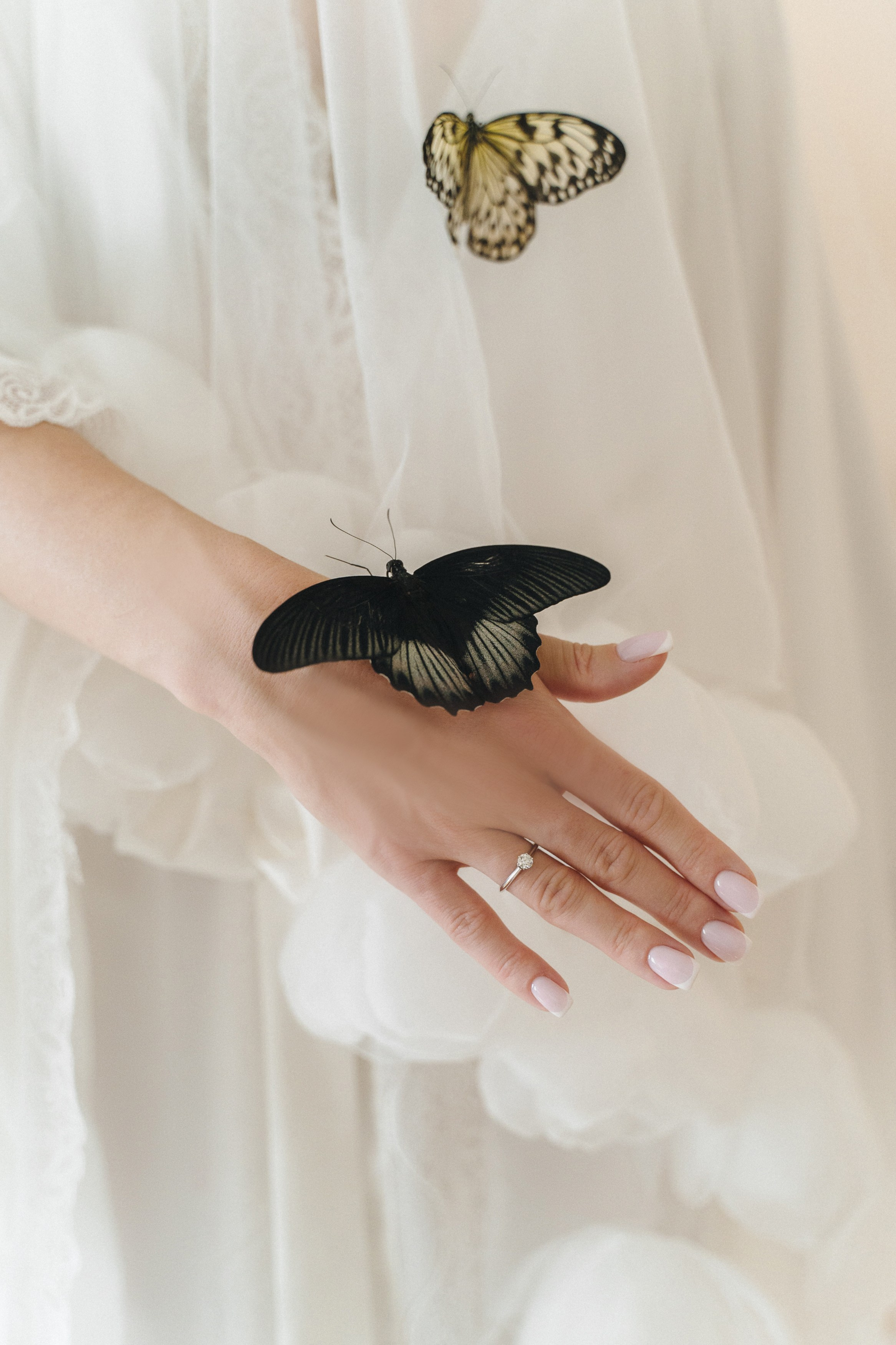 Trezzini Palace. Свадебный фотограф Москва