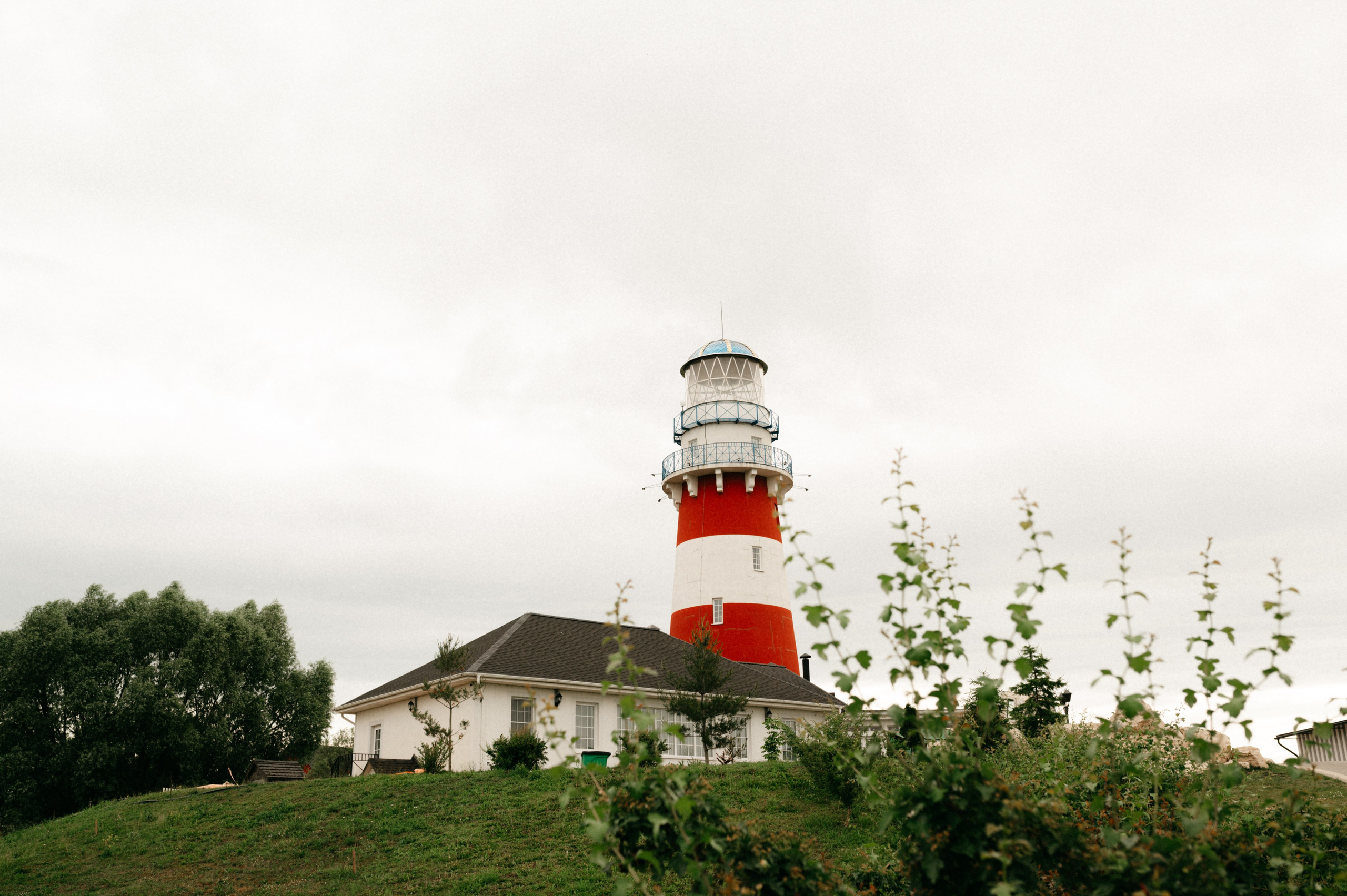 Таня и её пушистые друзья. Фотограф анималист в Москве Ольга Агушева