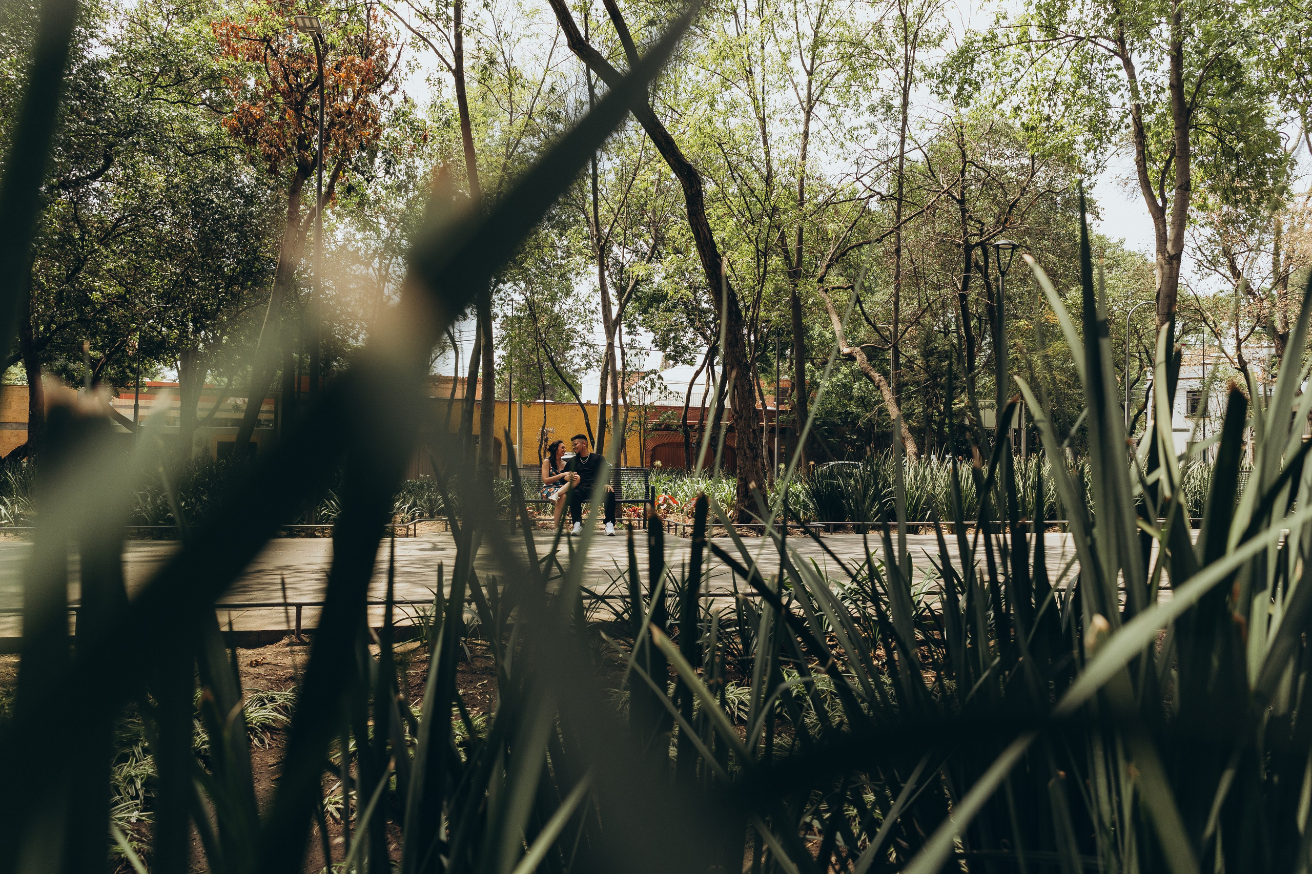 Феликс и Ашни Предложение руки и сердца. Ирина Крохалева. Семейный фотограф в Екатеринбурге