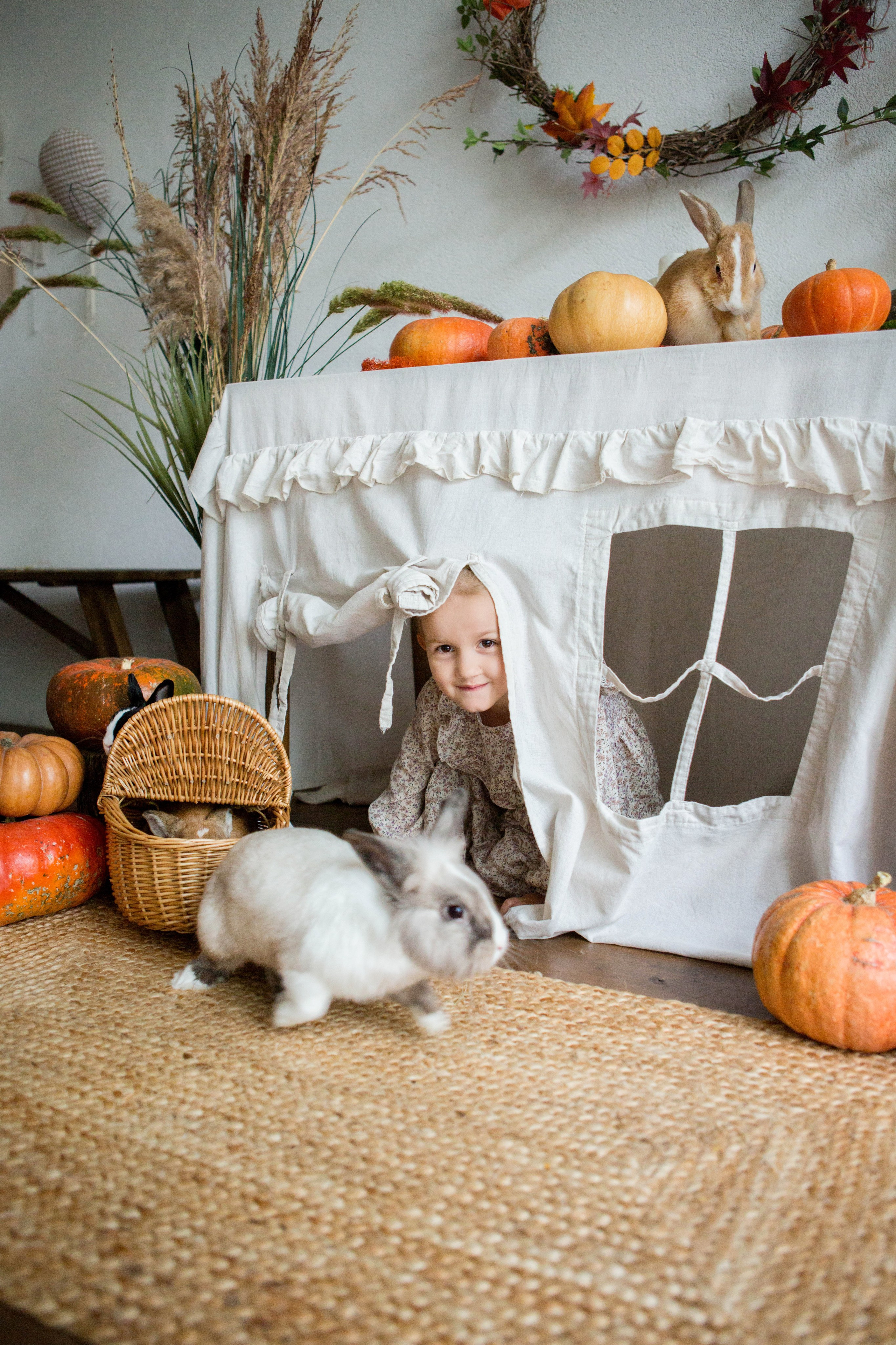 «Осень. Тыквы. Кролики». Фотостудия «Menstone». Свадебный семейный и детский фотограф в Краснодаре Карина Федоровская