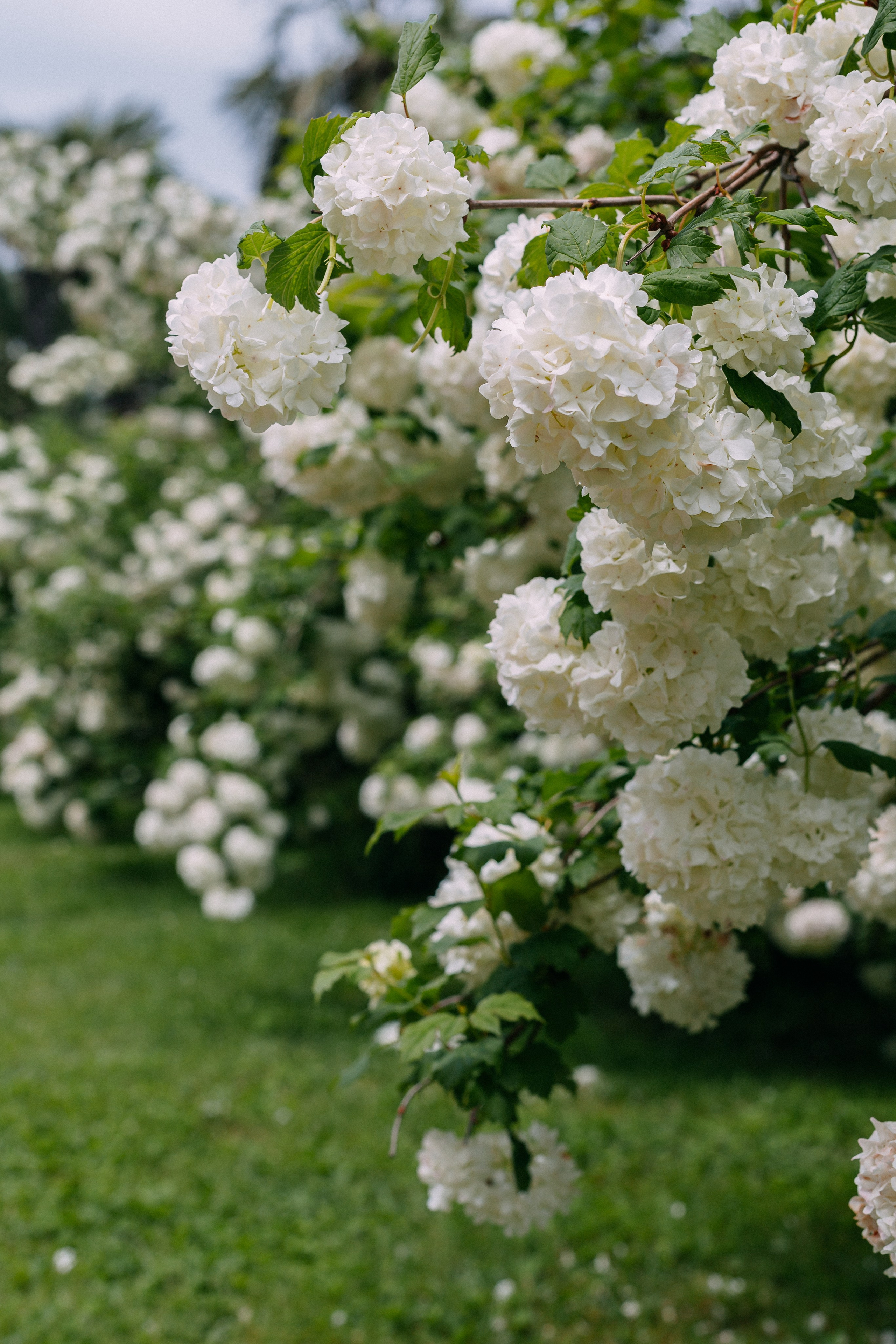 Сочи. Аня Степанова