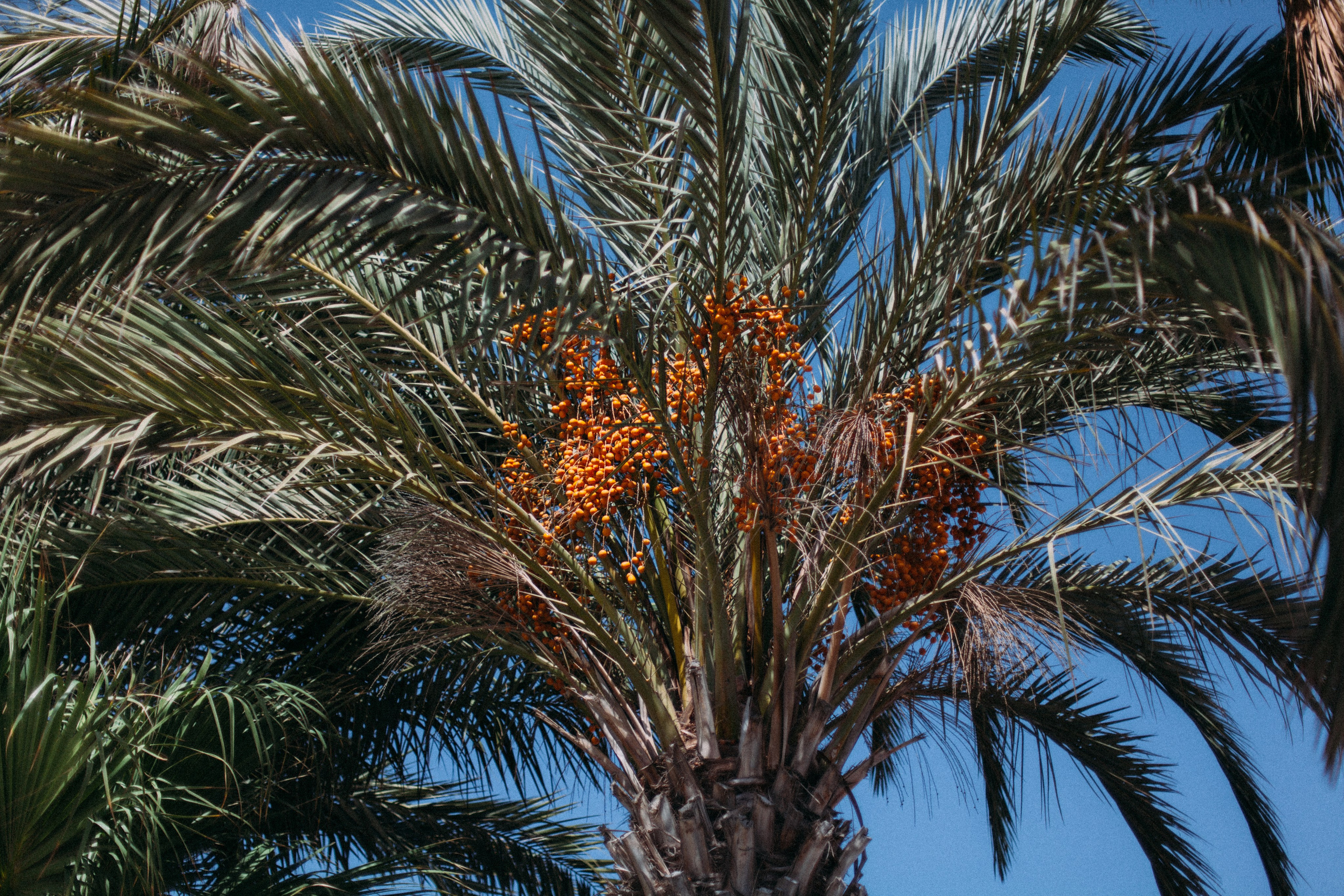 Кипр. Аня Степанова