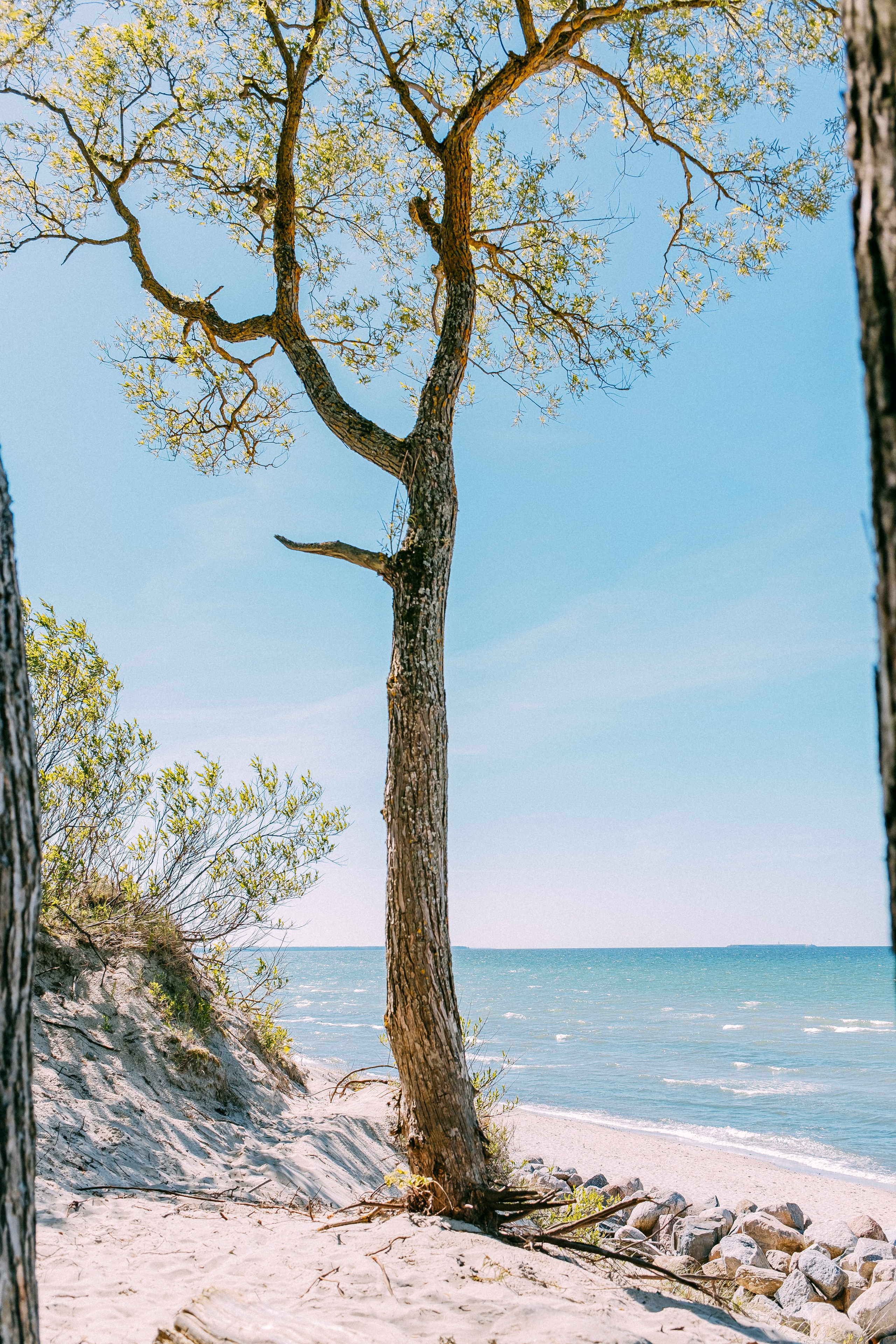 Зеленоградск. Аня Степанова