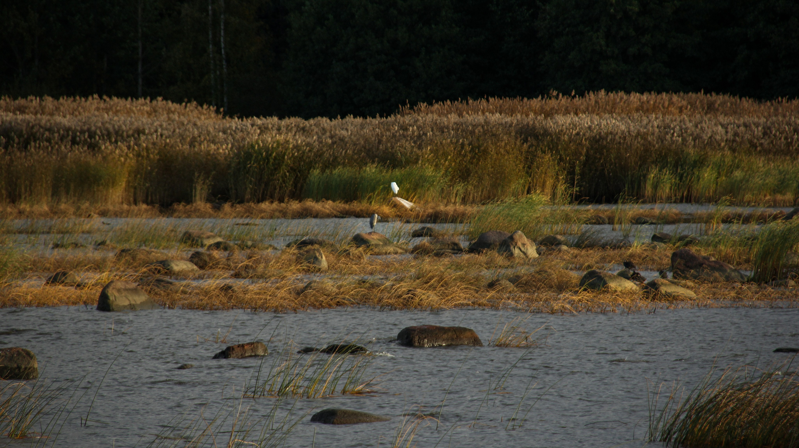 Андерсонград. Портретный фотограф DanilNabody