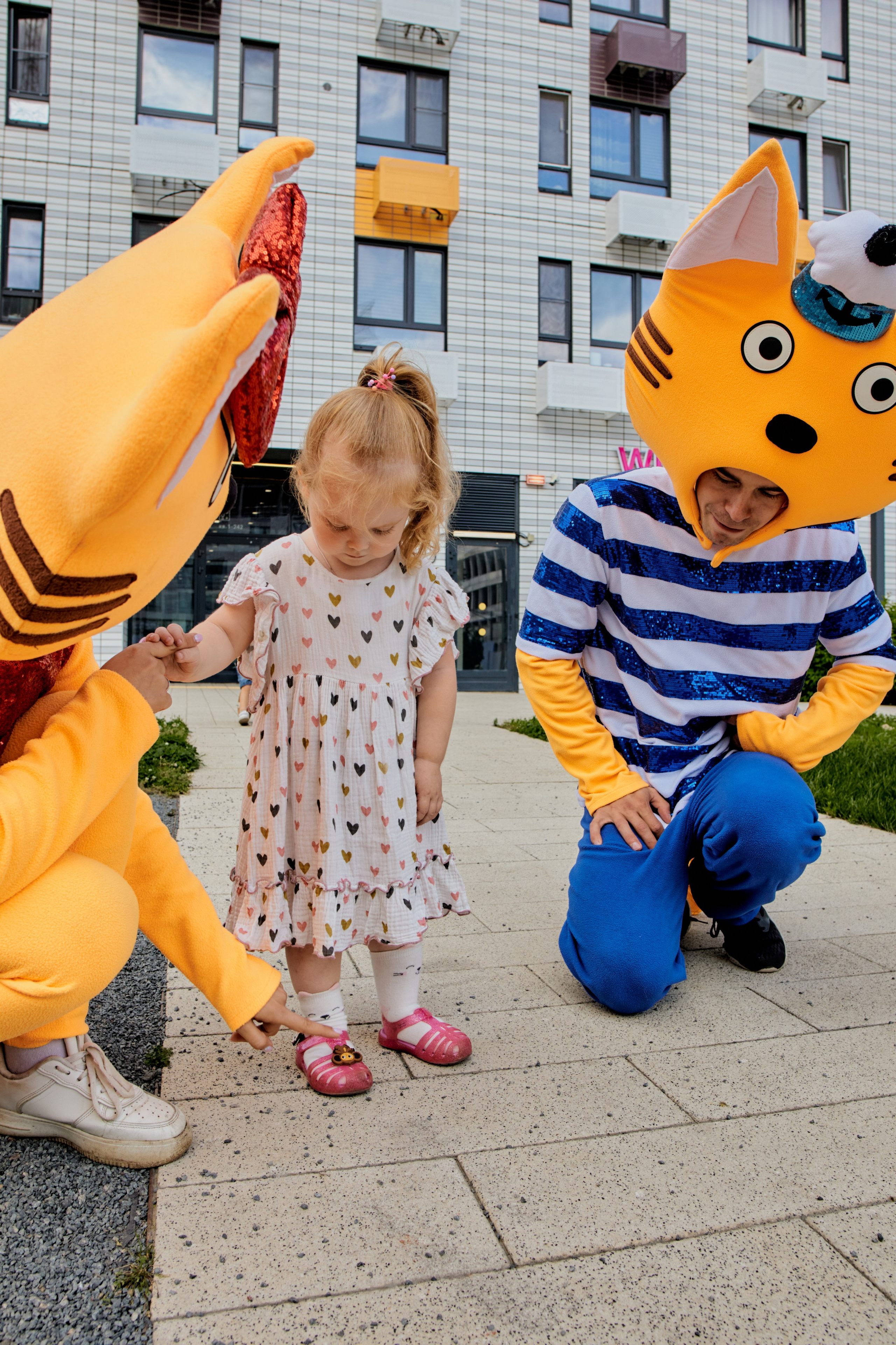 Три кота. Фотограф Москва