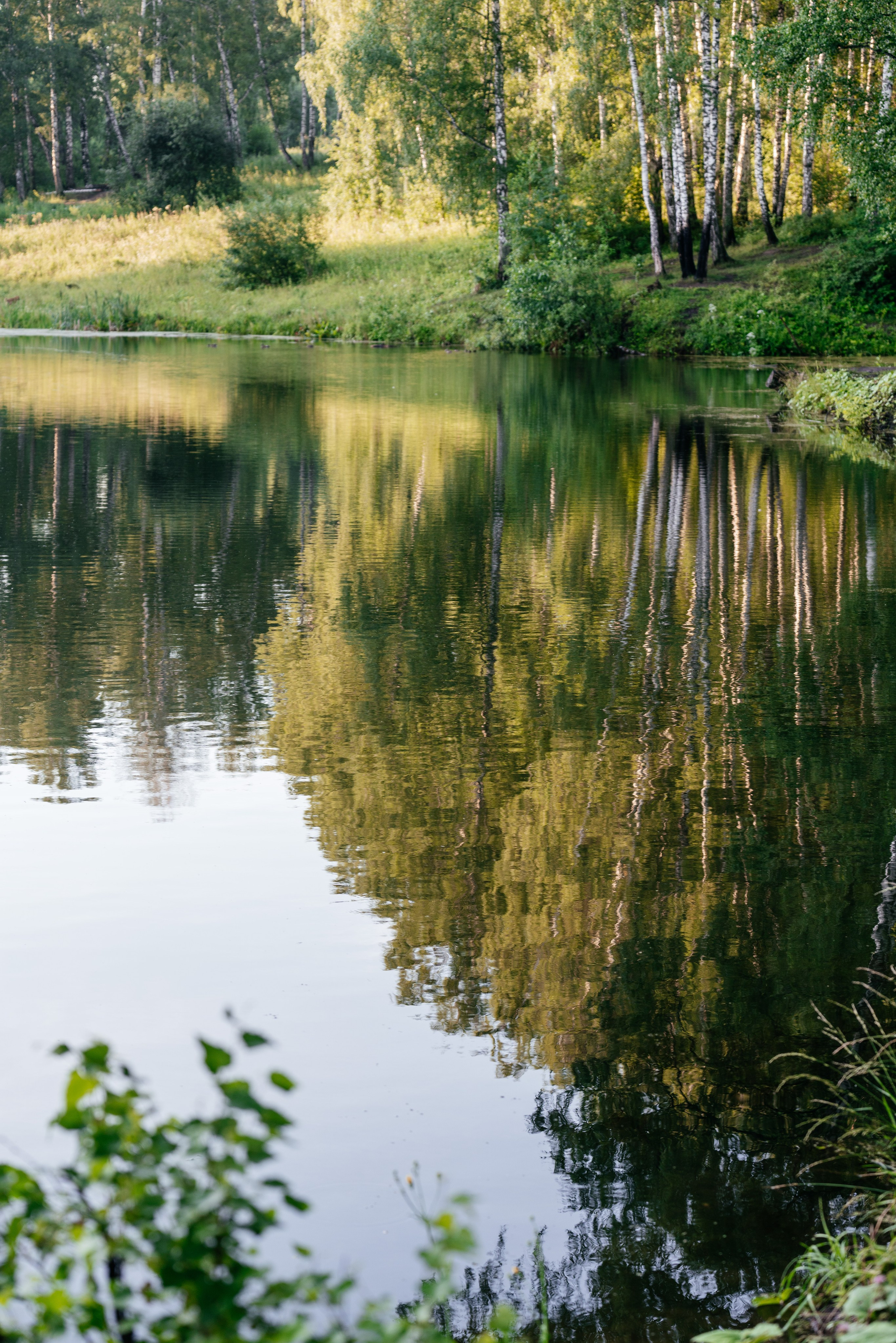 A | Z. Свадебный и семейный фотограф в Новосибирске Светлана Варутина