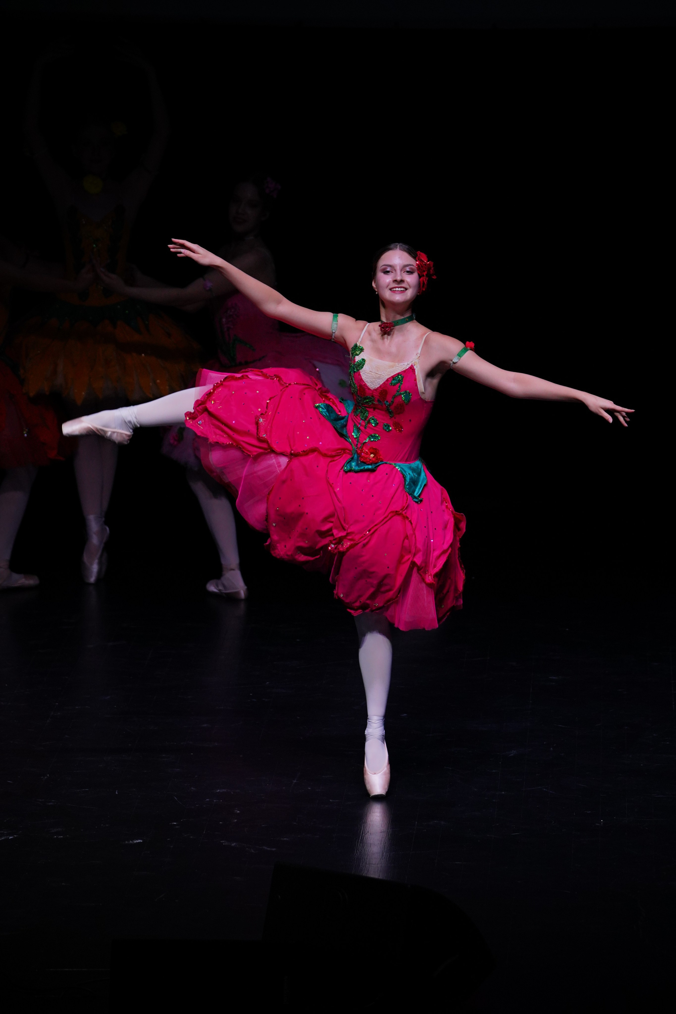 Концерты и выступления. «Студия DRONAVT`s» — видеосъёмка и фотография г. Москва