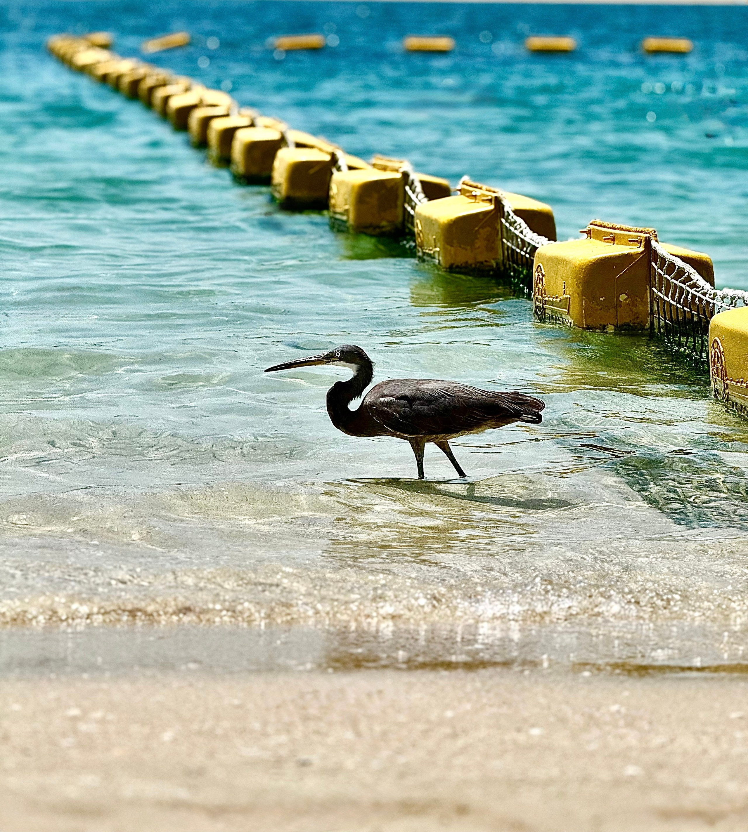 Фотограф Москва. Фотограф и художник в Москве Евгения Нюнина