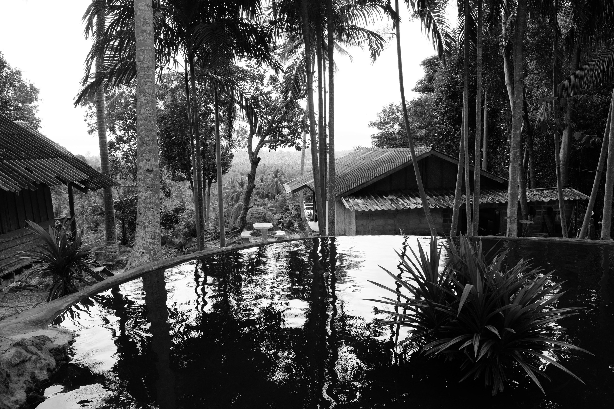 Street/ Thailand/ 2020. Anna Fedo Photo