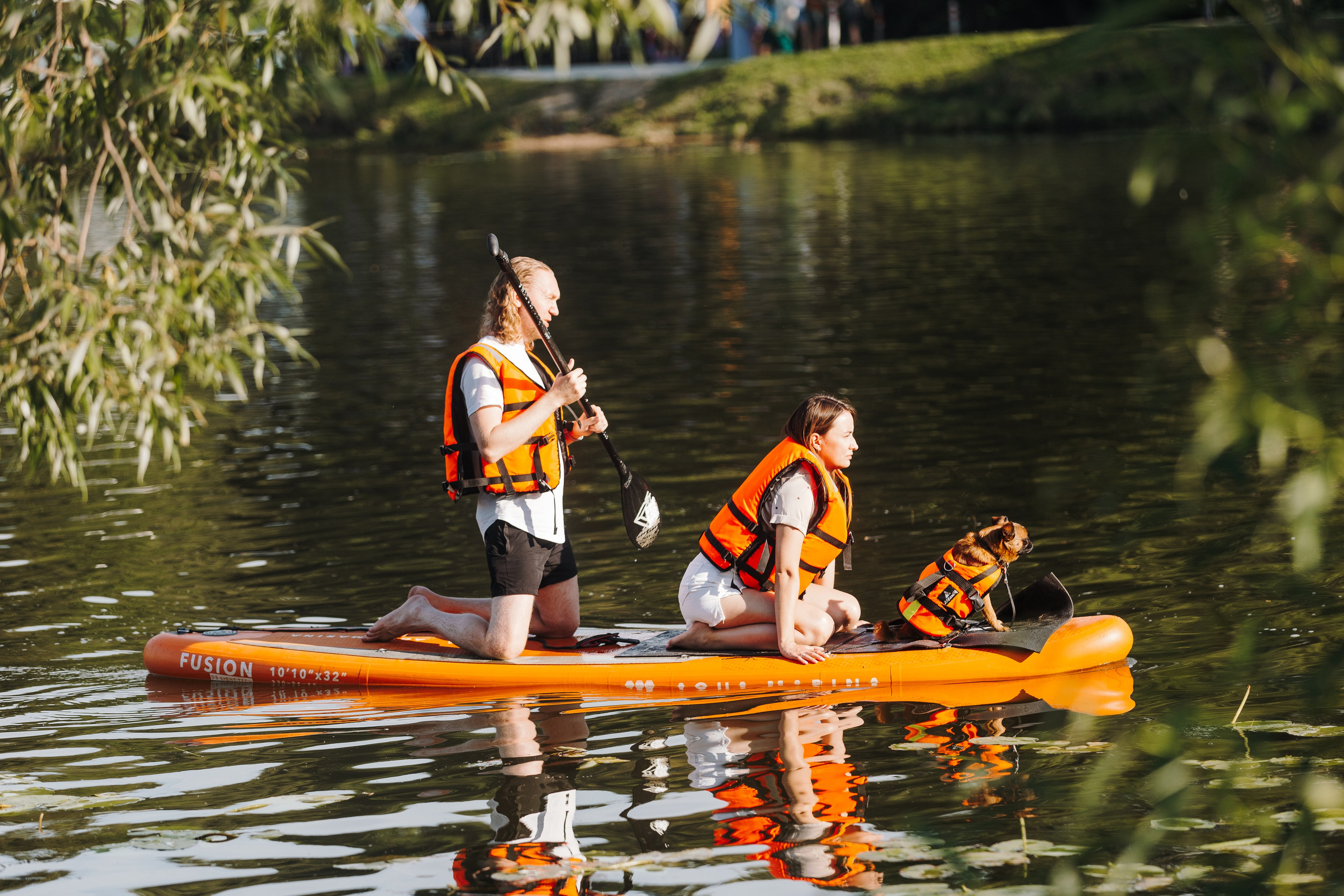 Petshop Sup day. Фотограф анималист Кристина Карпова, Москва