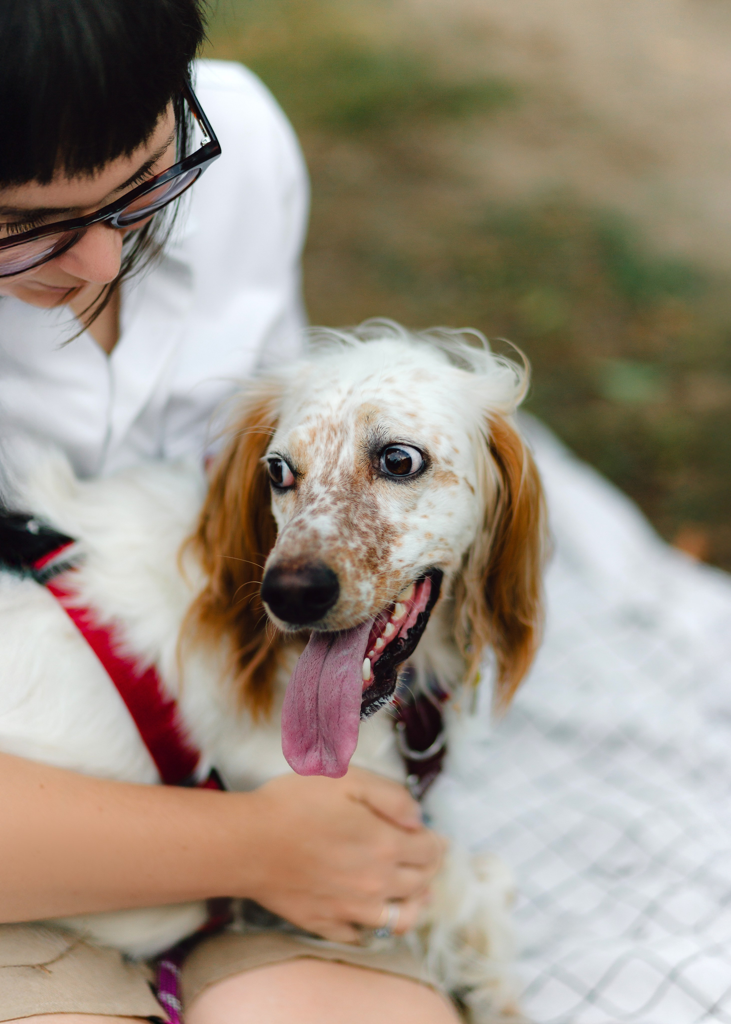 Pauline & Her Beloved Mañana. Barbara Isaeva