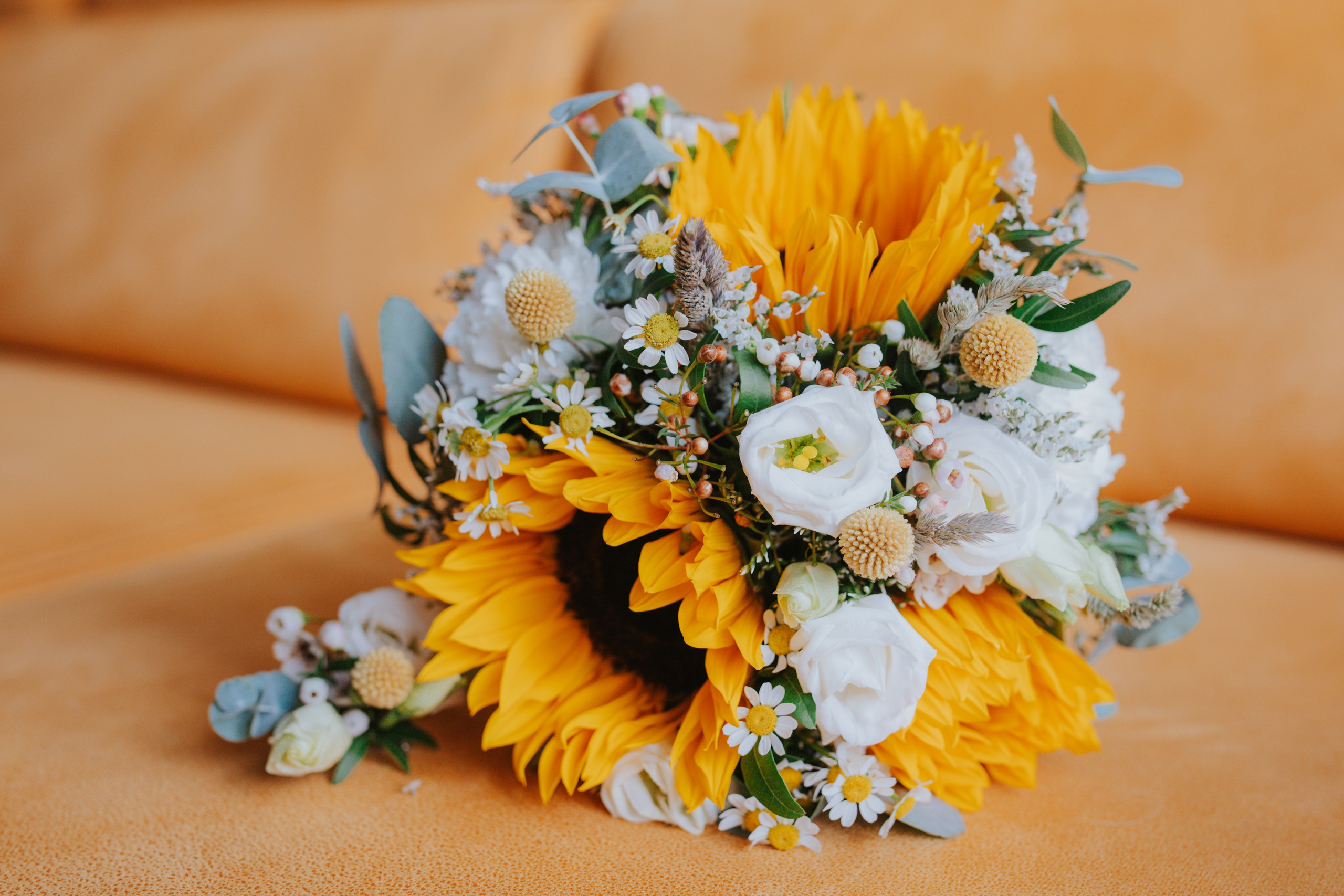 13 июля. Фотограф Алла Елисеева