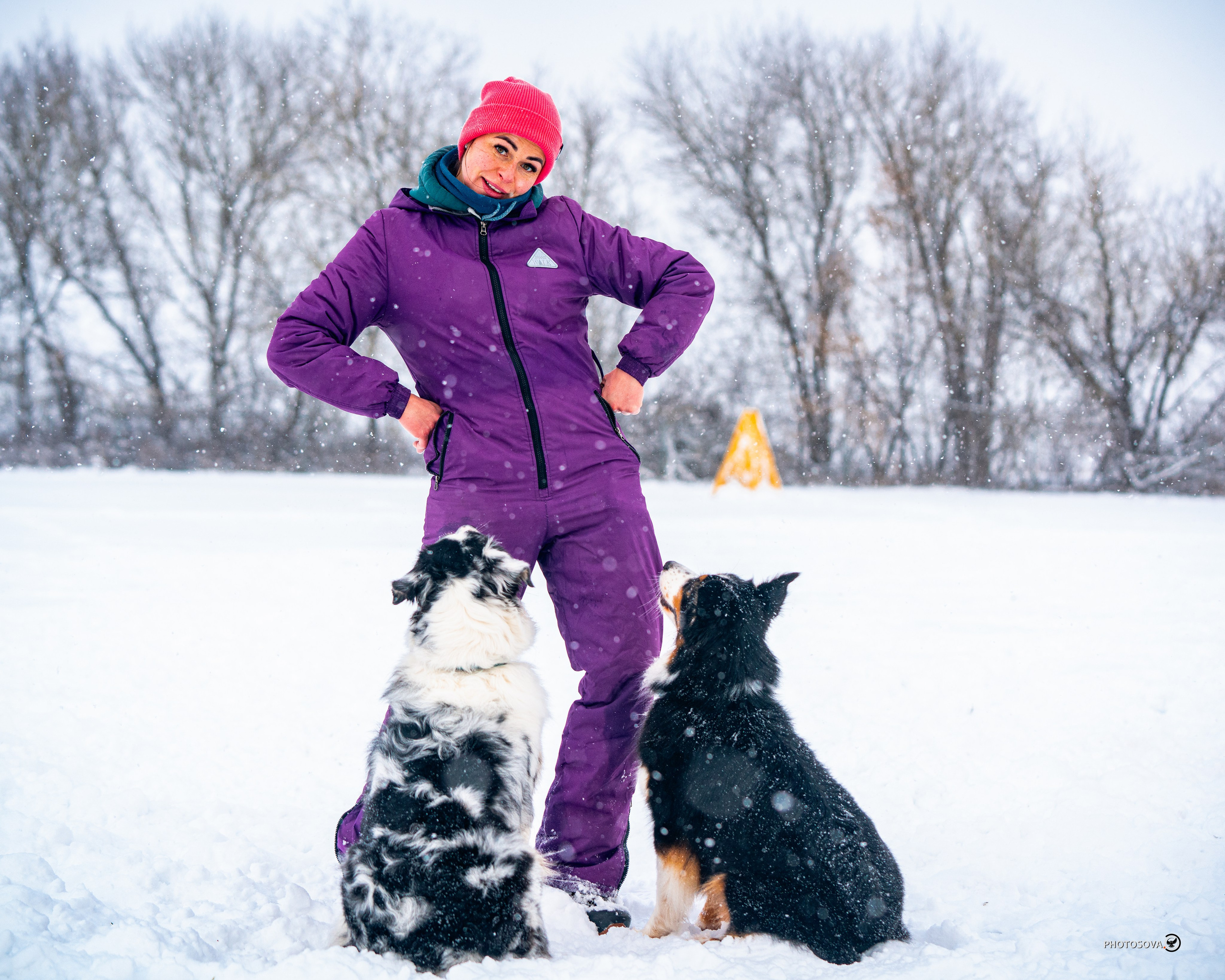 ФОТОПАМЯТЬ ВАШИХ ЭМОЦИЙ. Фотограф-анималист, семейный фотограф в Москве и Подмосковье. Фотосъёмка кинологических дисциплин