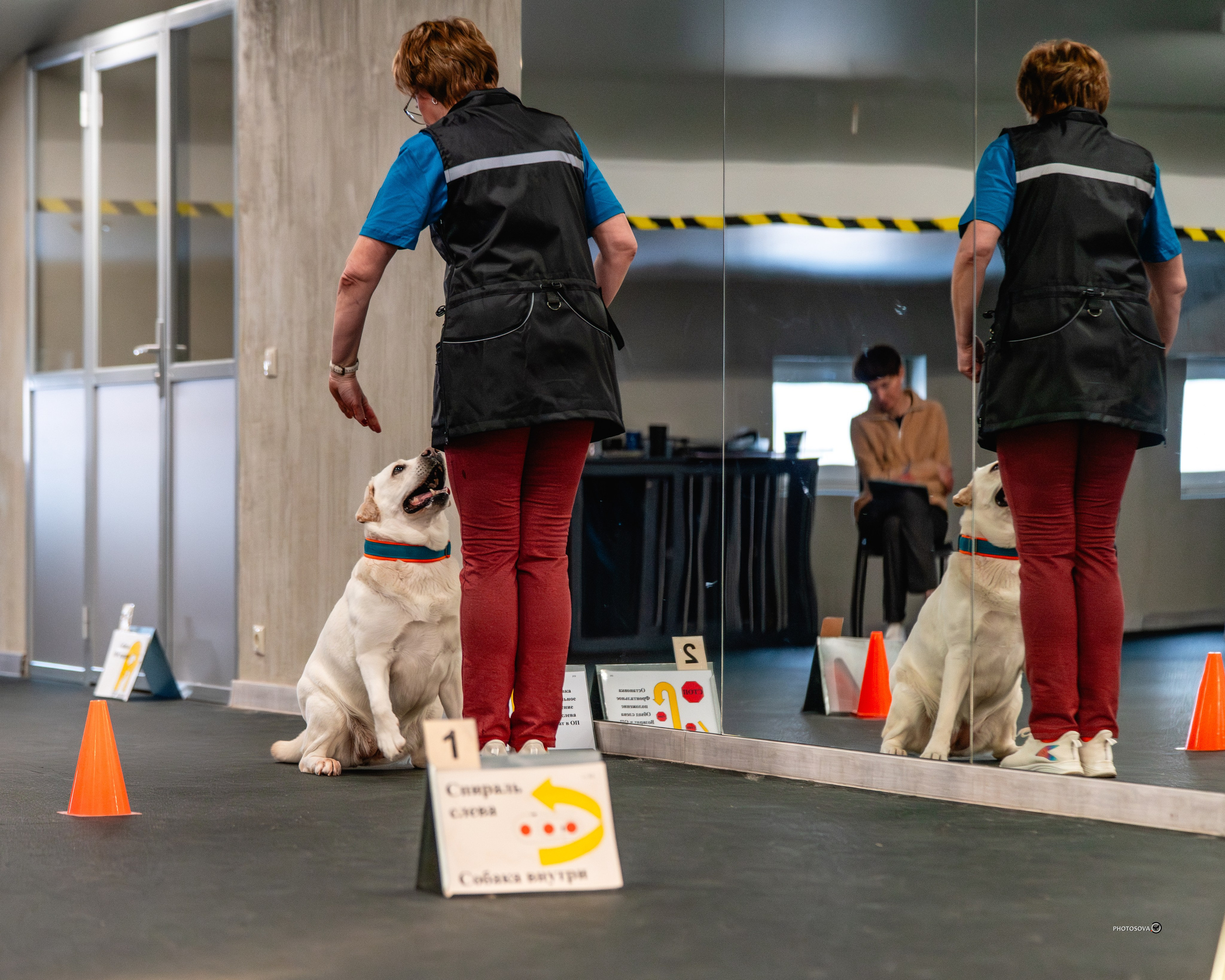 ТЫ И Я (соревнования по ралли-обидиенс). Фотограф-анималист, семейный фотограф в Москве и Подмосковье. Фотосъёмка кинологических дисциплин