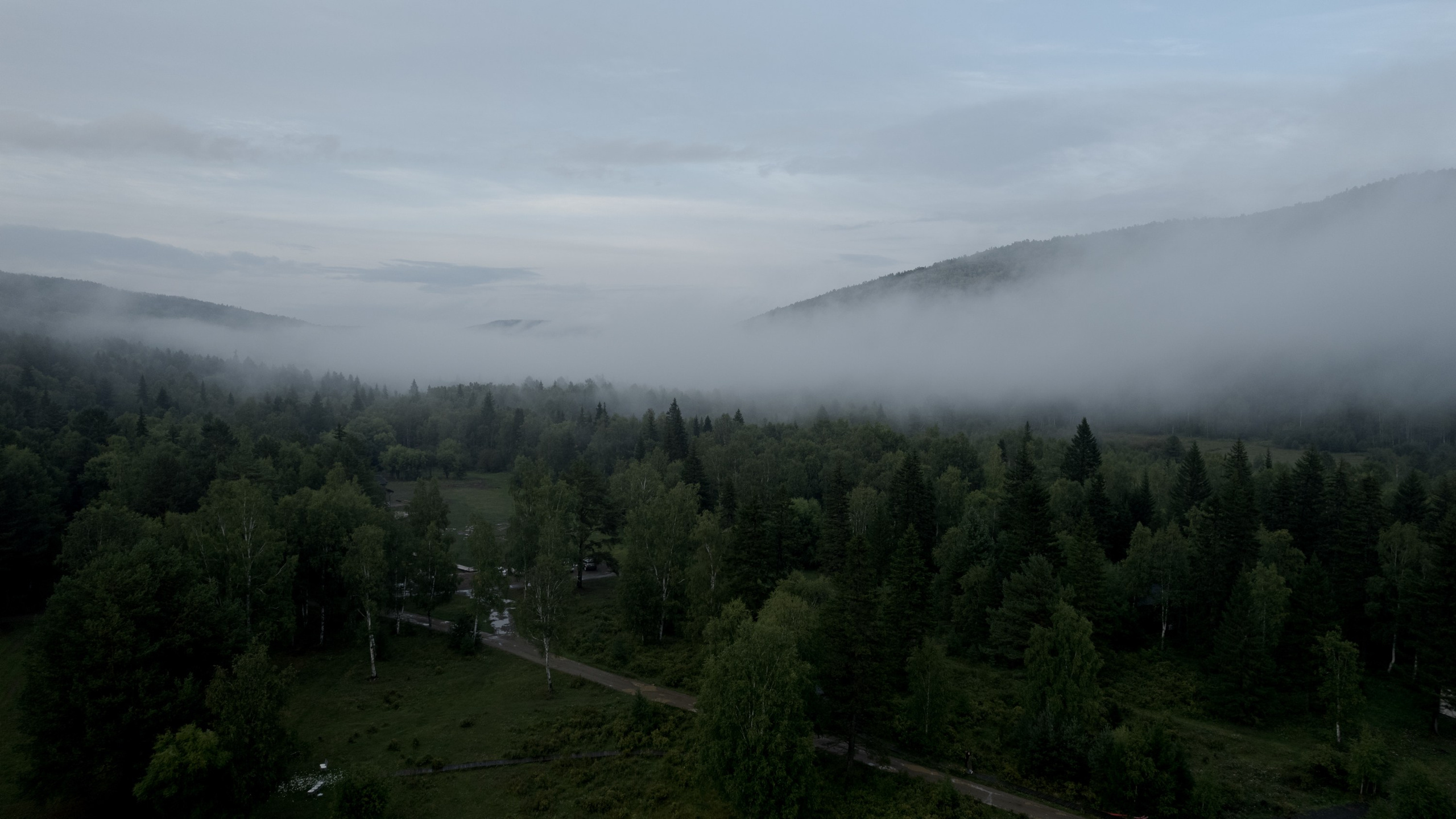 Захар и Виктория. Свадебный фотограф