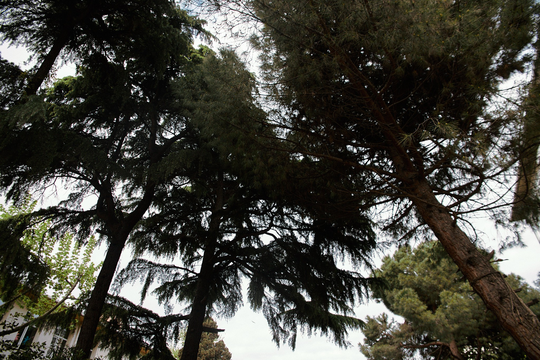 Улица горизонтальная. Jorgis — фотограф в Хургаде / обучение фотографии