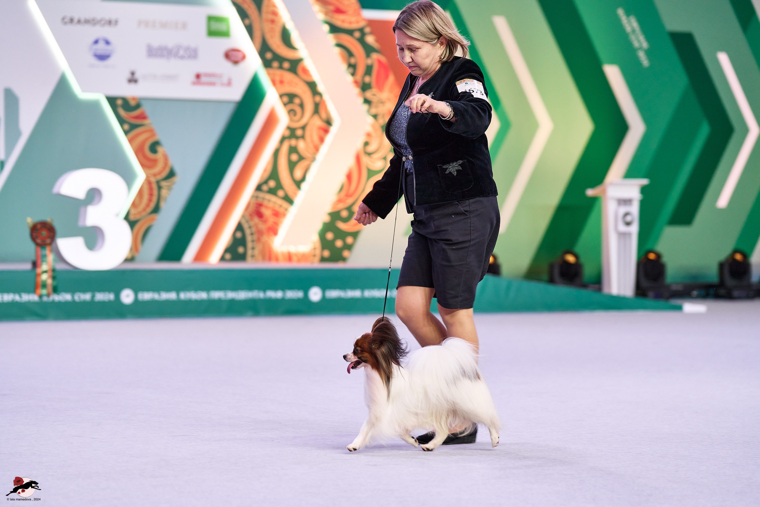 17.11.2024 «ЕВРАЗИЯ. КУБОК СНГ 2024»