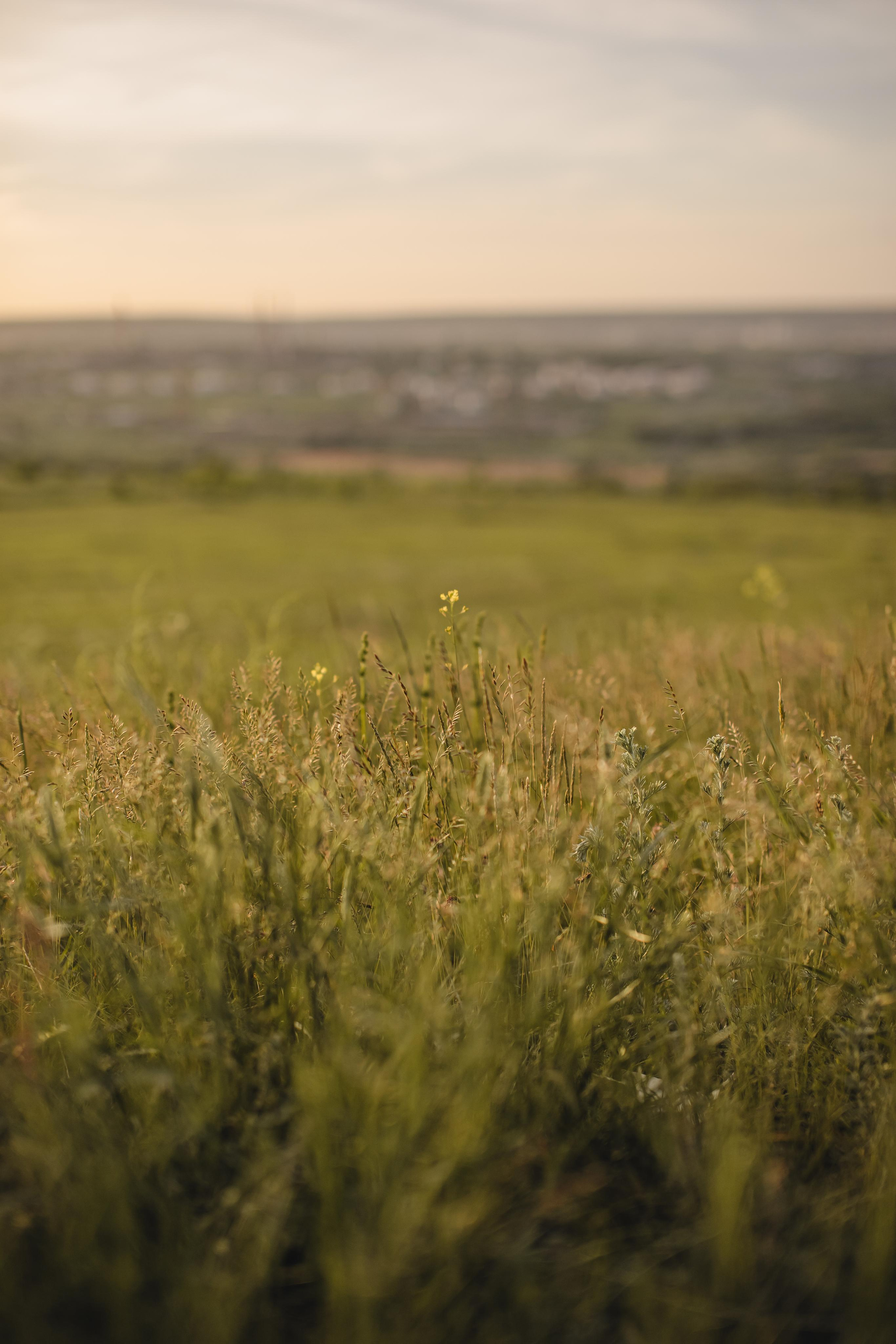 Даша и Рома. Семейный и свадебный фотограф в Саратове Евангелина Штах