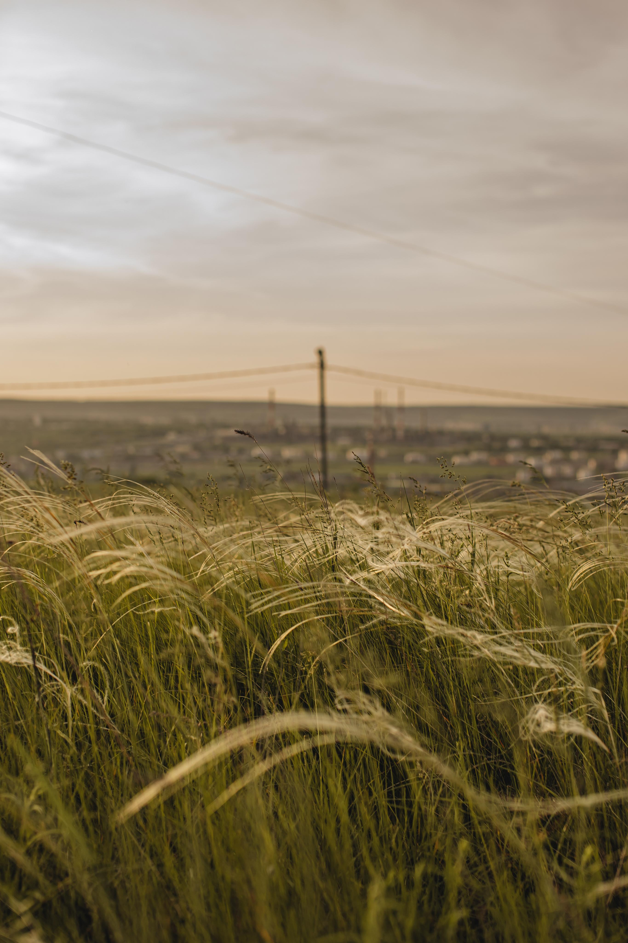 Даша и Рома. Семейный и свадебный фотограф в Саратове Евангелина Штах