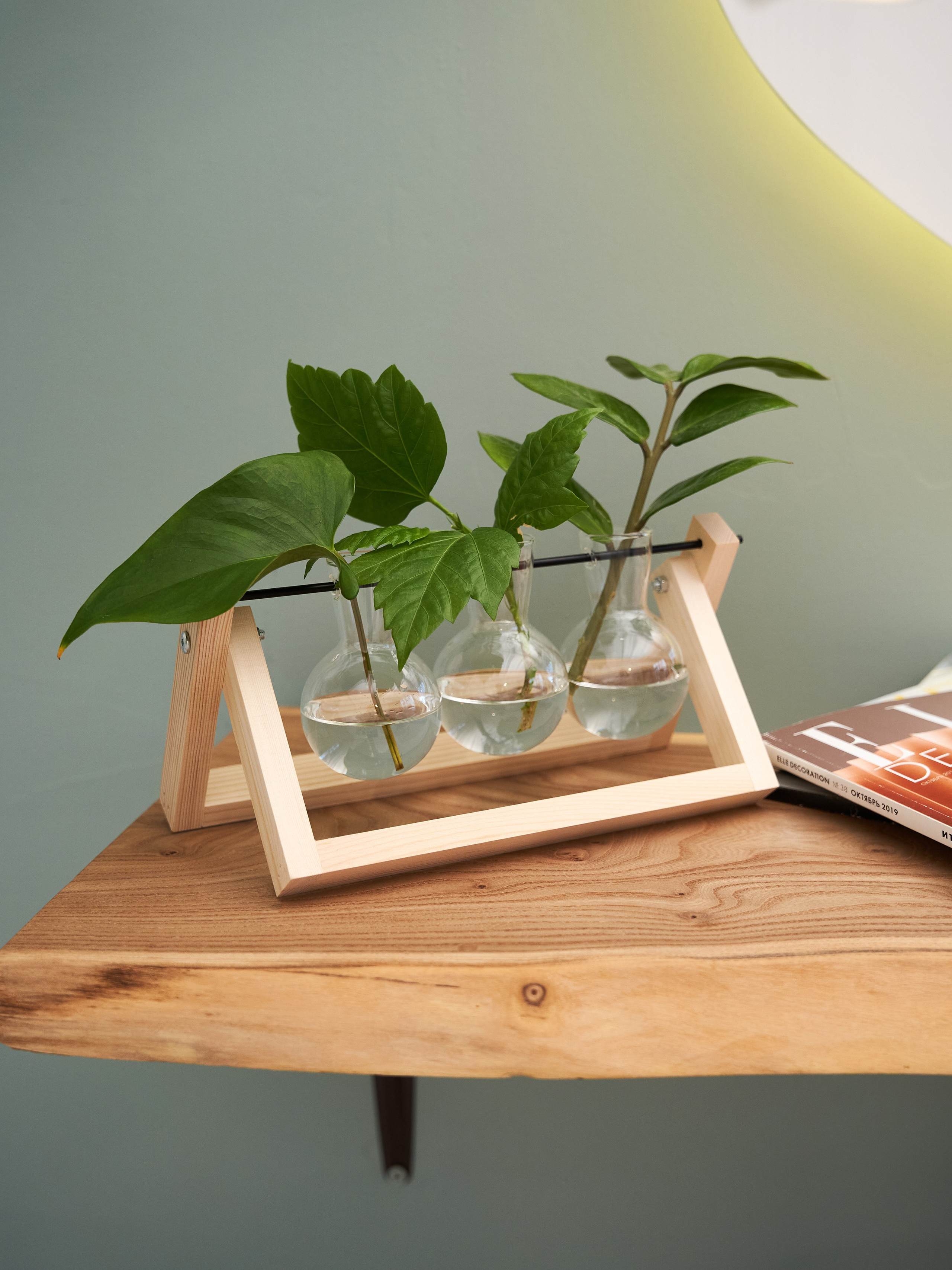 Предметная съемка для маркетплейсов. Отзывы | Sale Easy