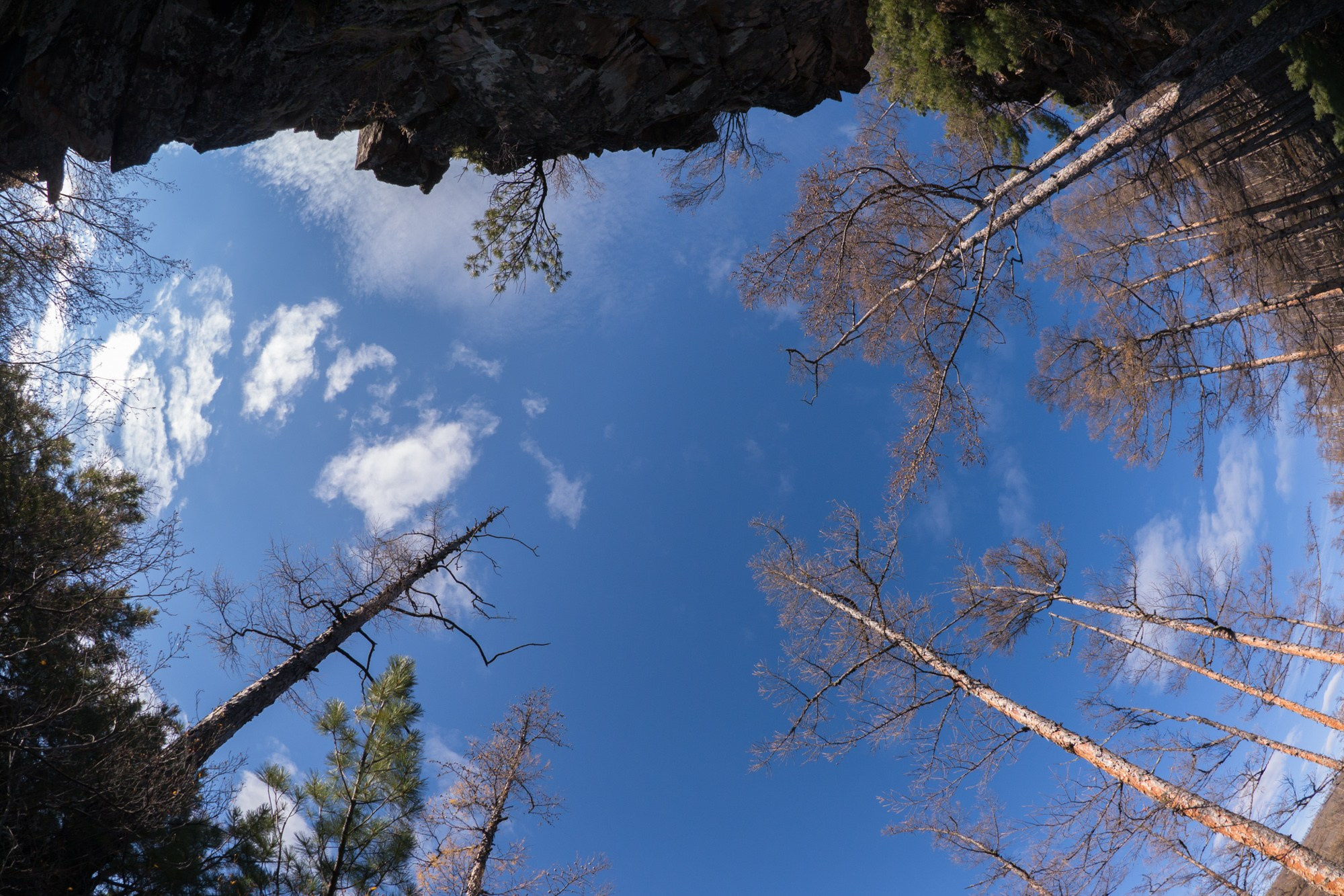 Якутия. Фотограф Алексей Скоробогатько