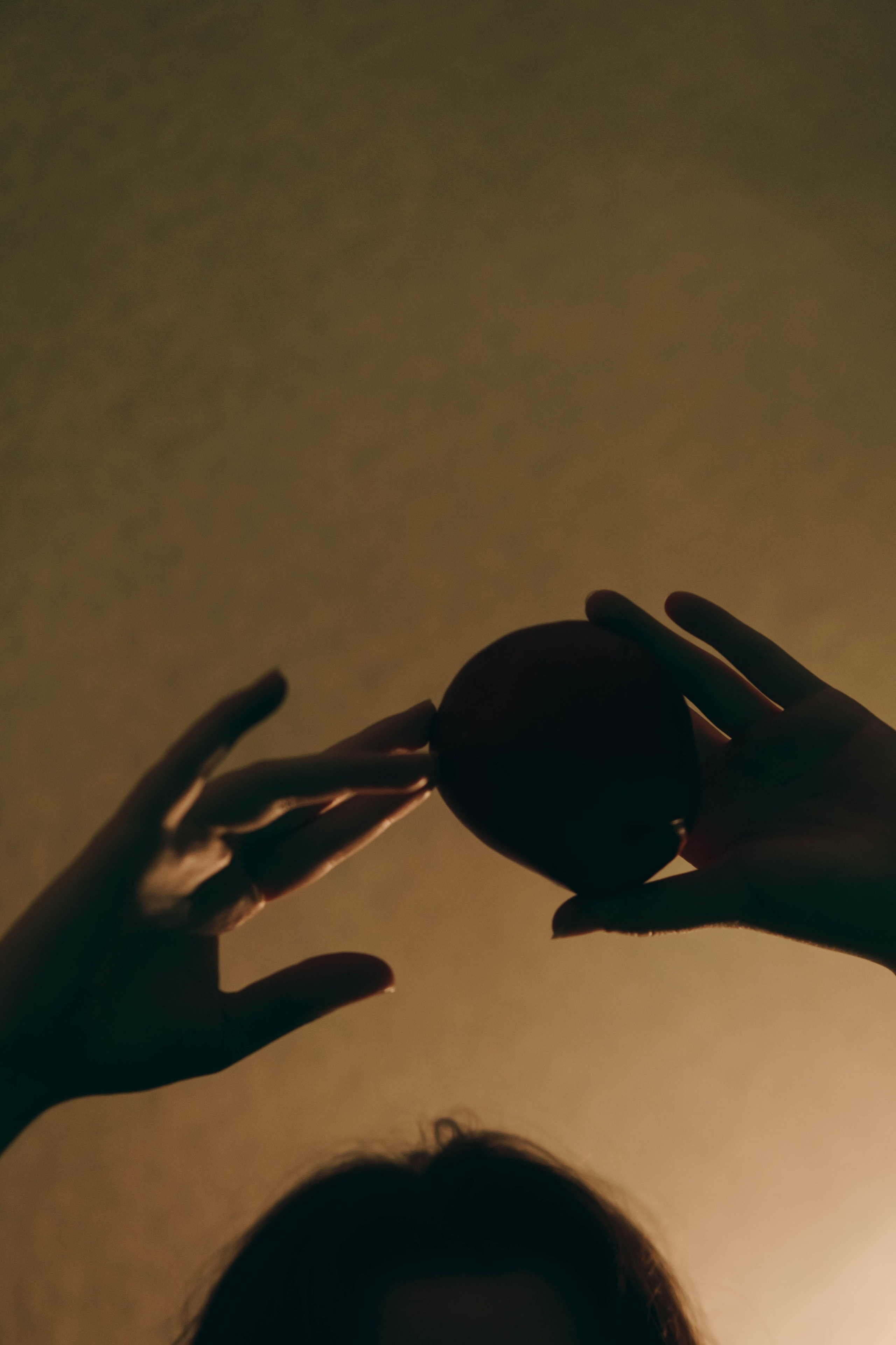 Милена. Фотограф-анималист Ксения Воробьева, Москва