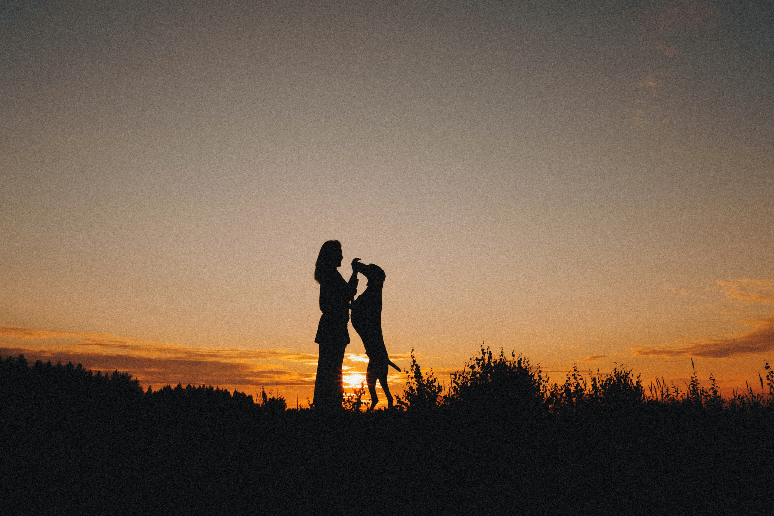 Юля и Эспен. Фотограф анималист Осипчикова Мария