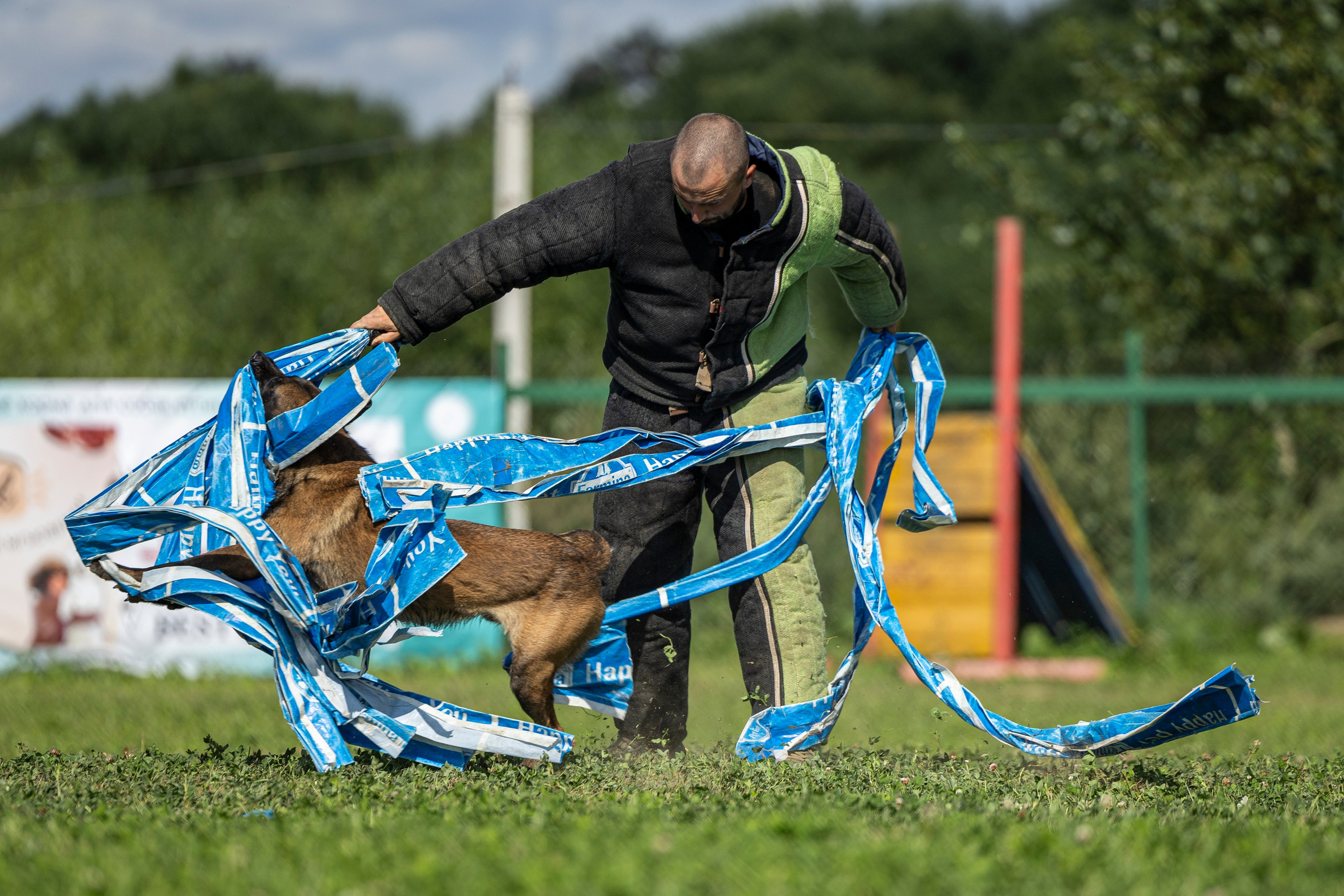 Соревнования по Мондьорингу г. Вологда 10-11.08.2024. Фотограф-анималист Анна Маринич