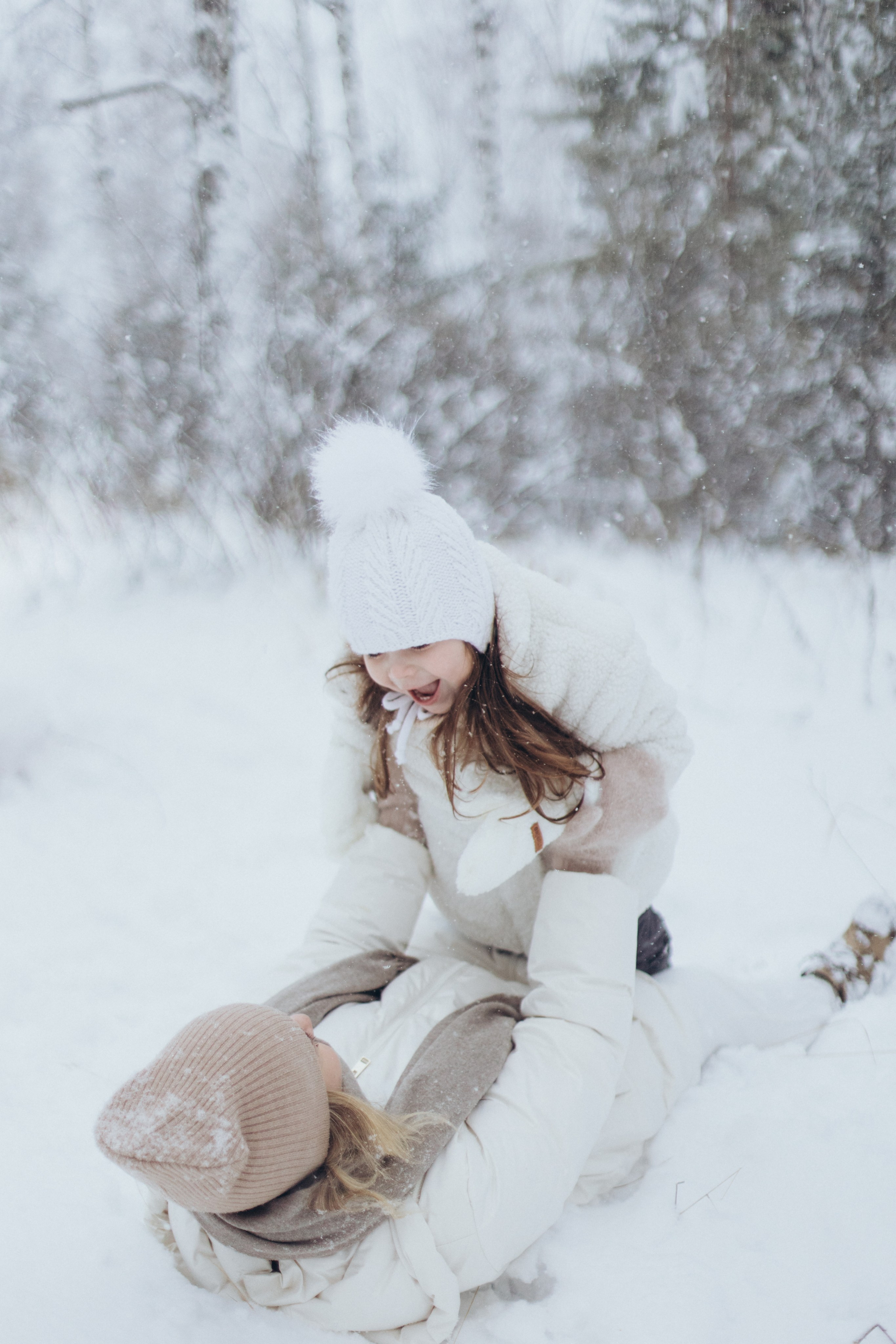 Зимняя история