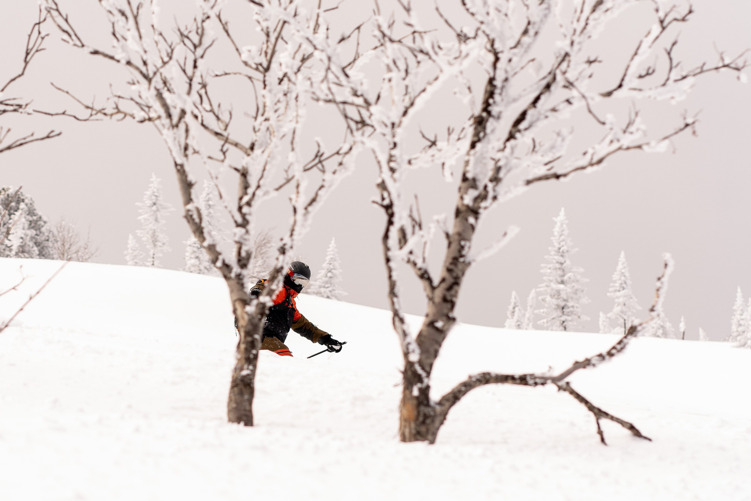 Фрирайд. Анастасия Паршукова — фотограф Шерегеш Новосибирск
