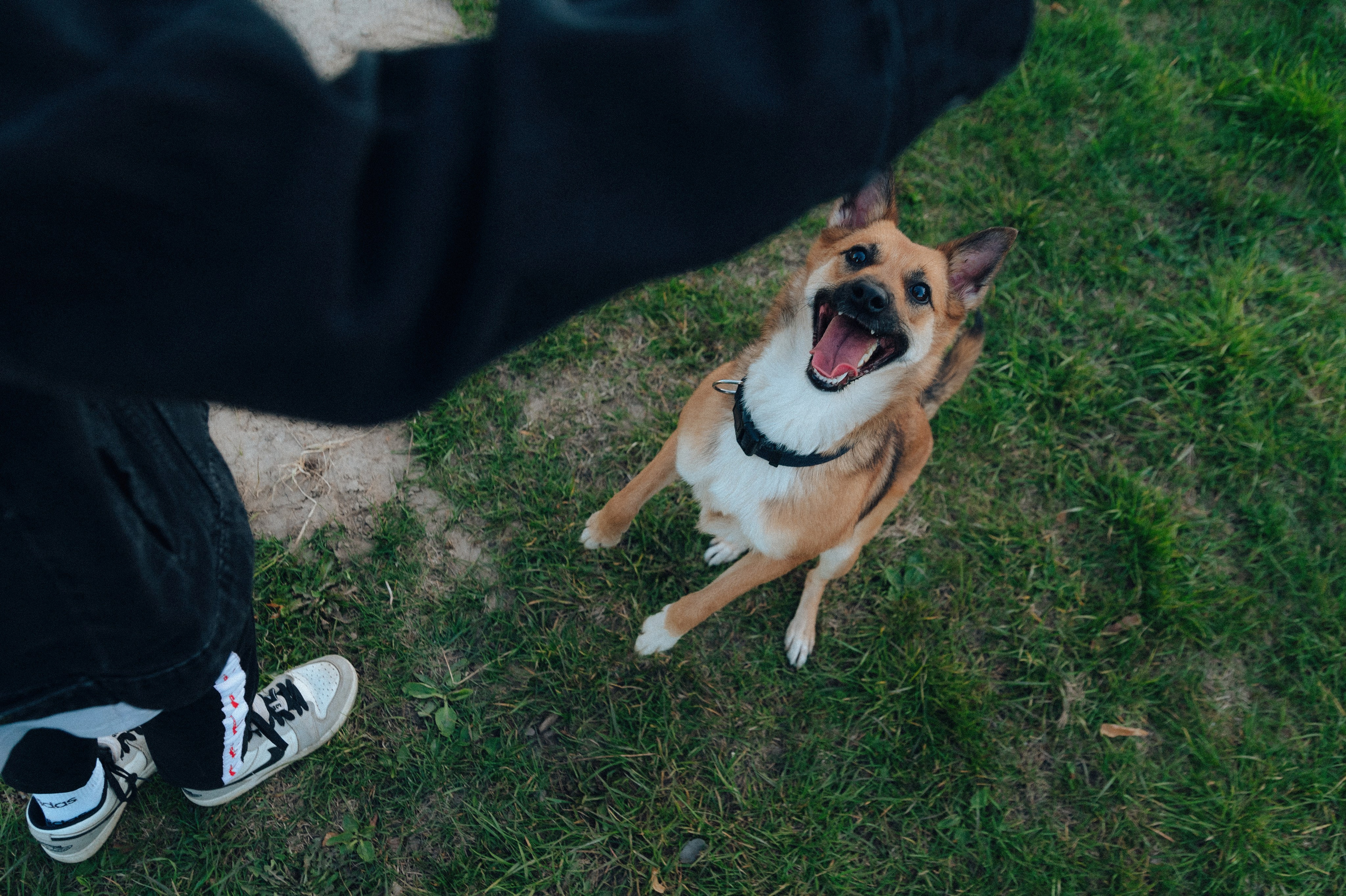 Влад и Алёна. Детский и семейный фотограф Катерина Мишина