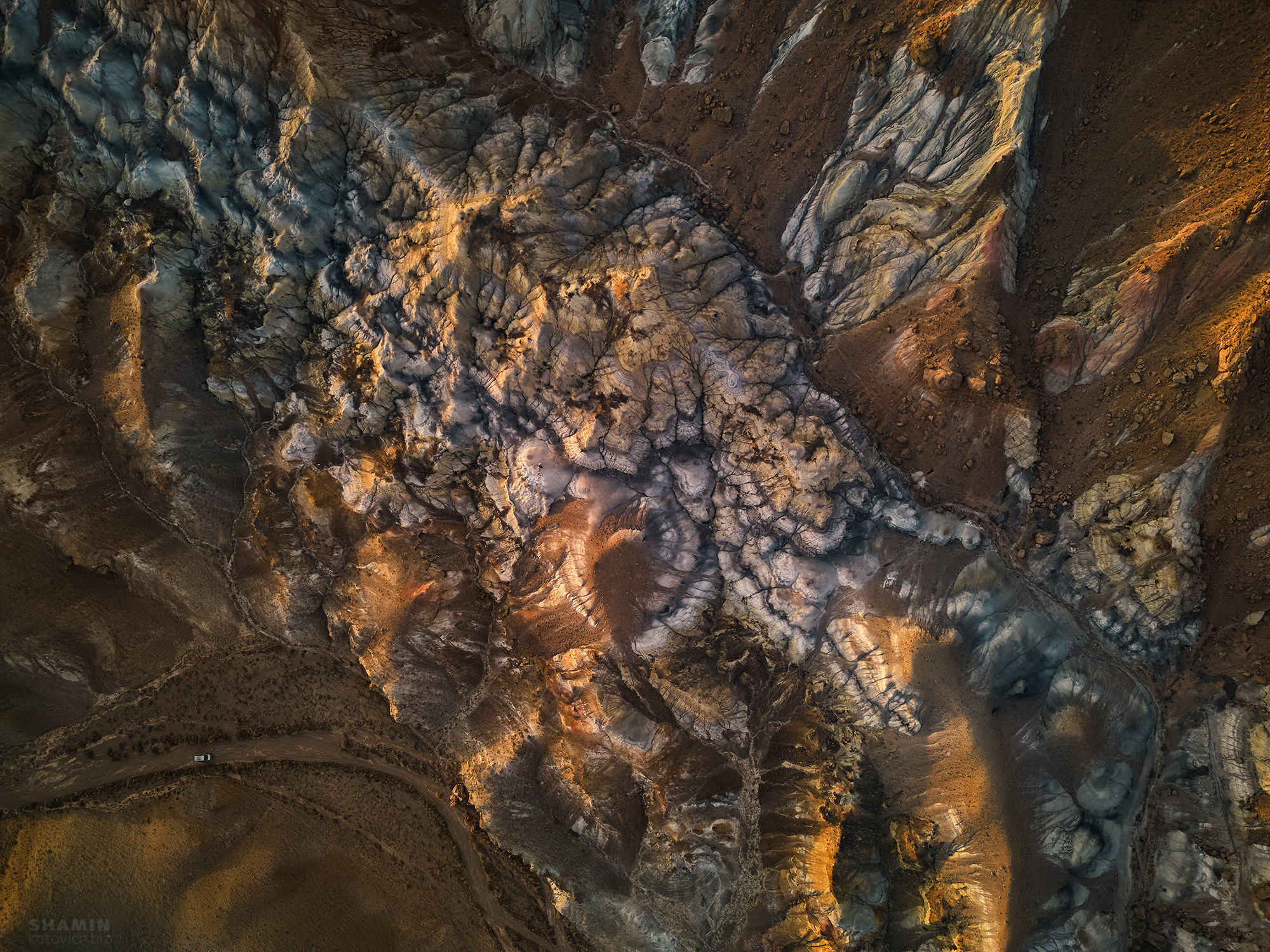 365 (2022 год). Фотограф Константин Шамин