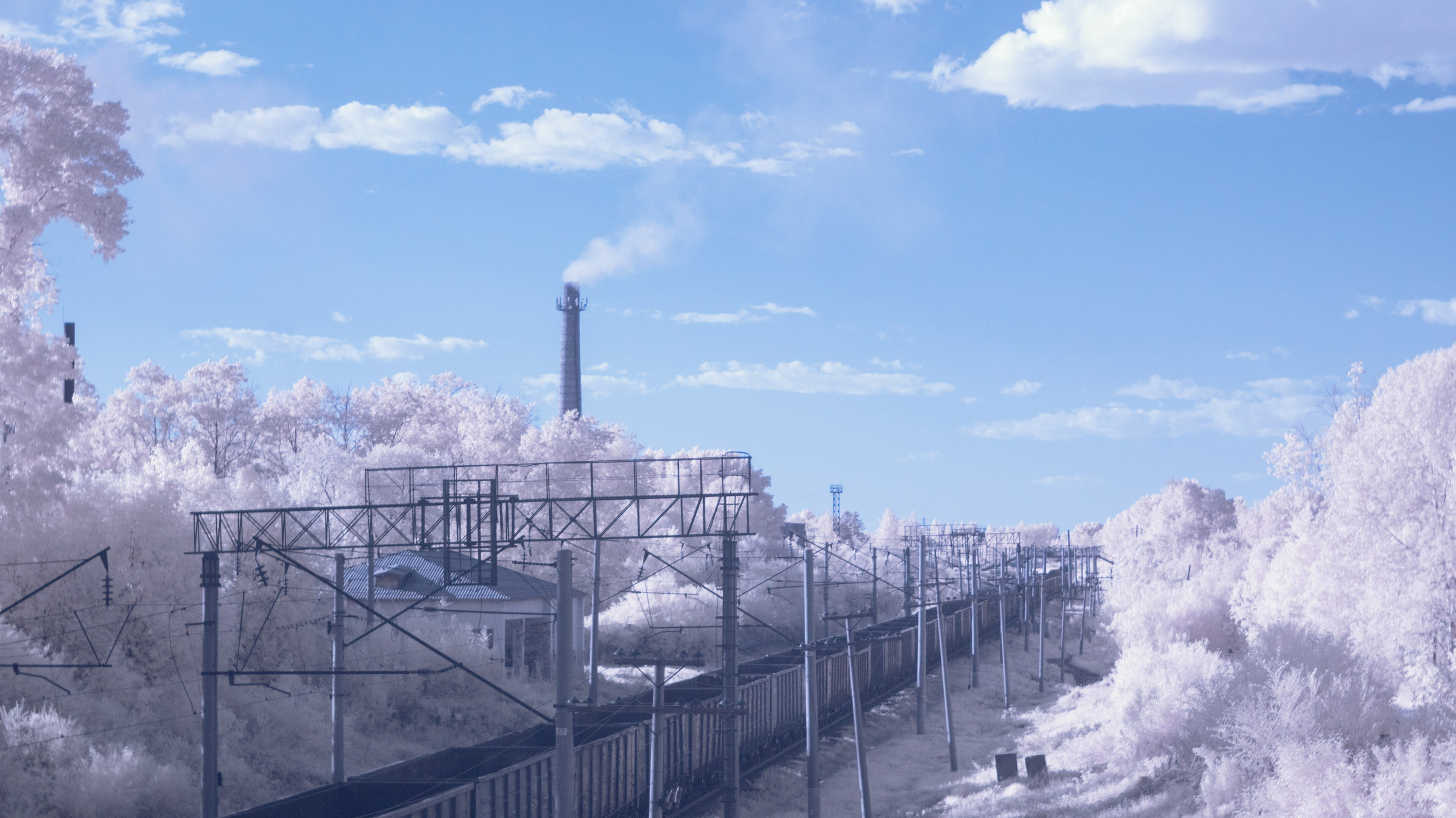 Infrared. AThumbnails