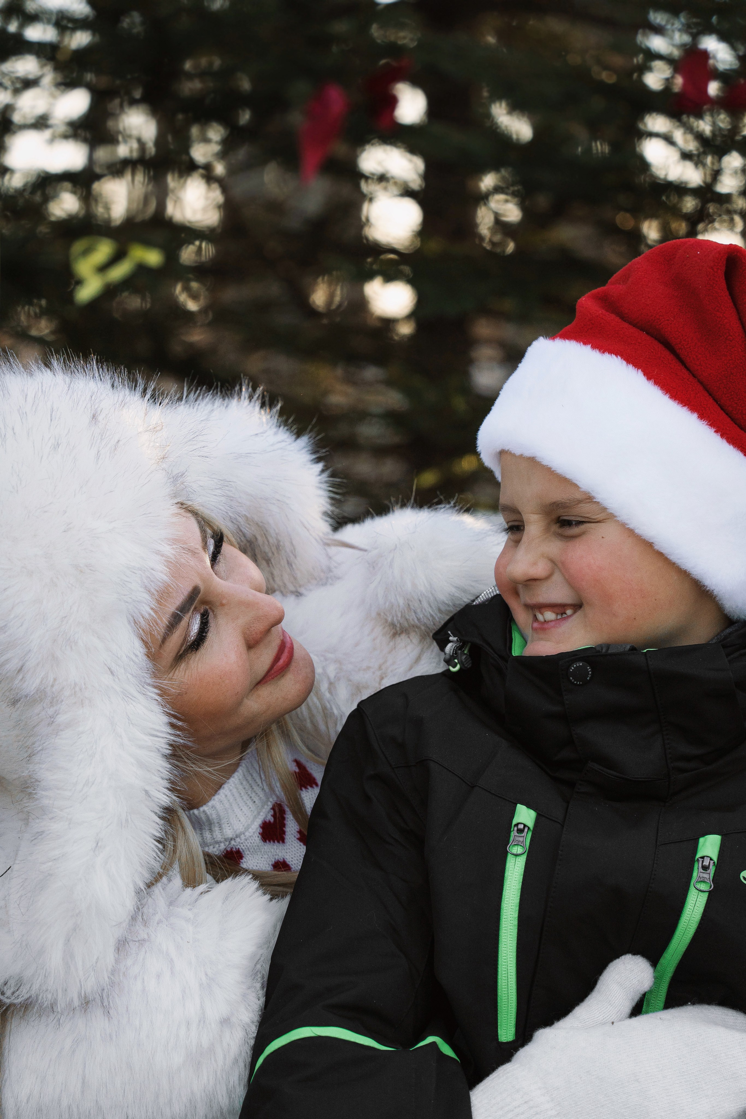 Фотодень «Символ 2026 года». Семейный фотограф анималист г. Находка