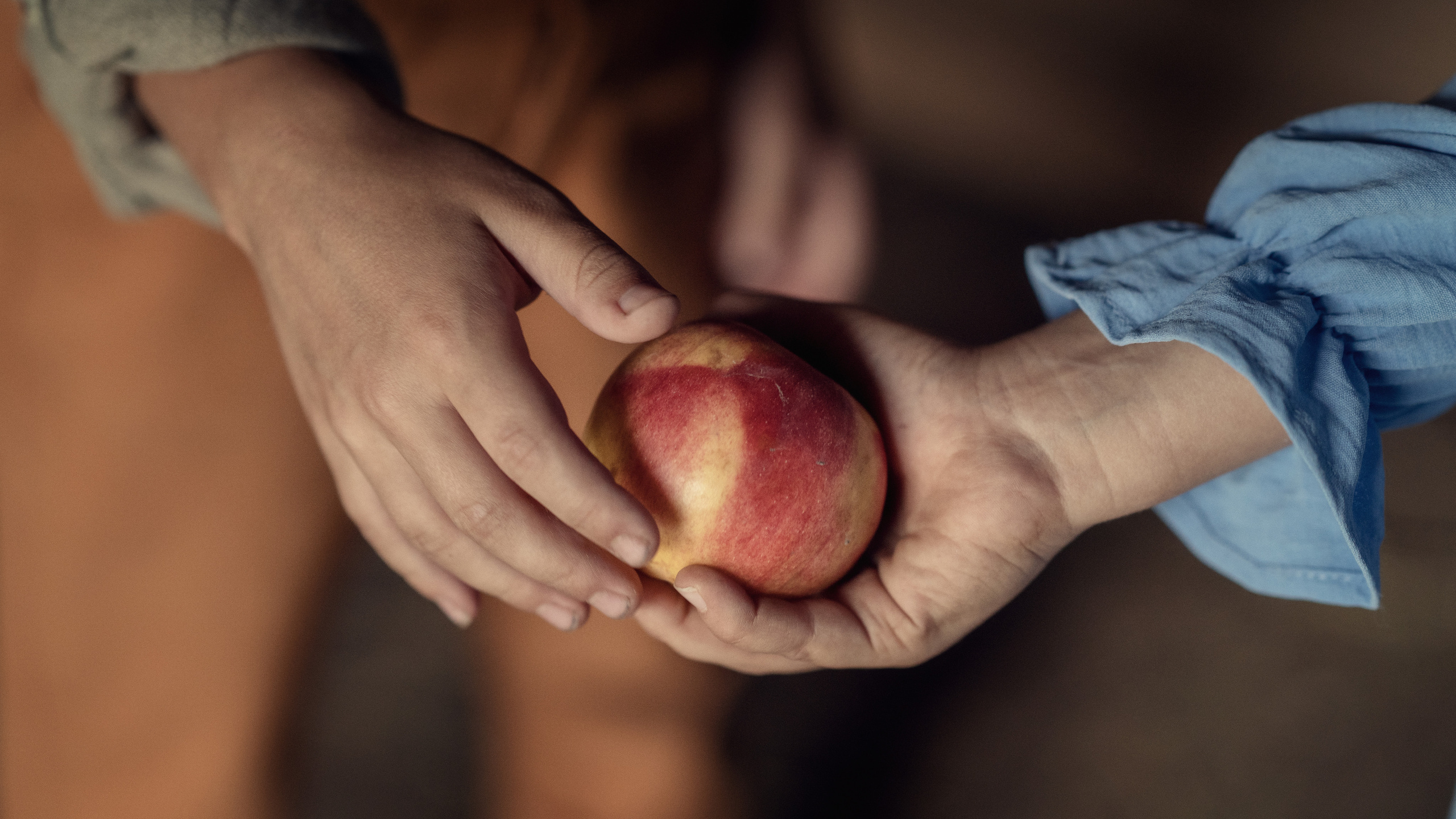 Знакомство. Семейный фотограф Новая Рига (Звенигород, Истра) Евгения Литовченко
