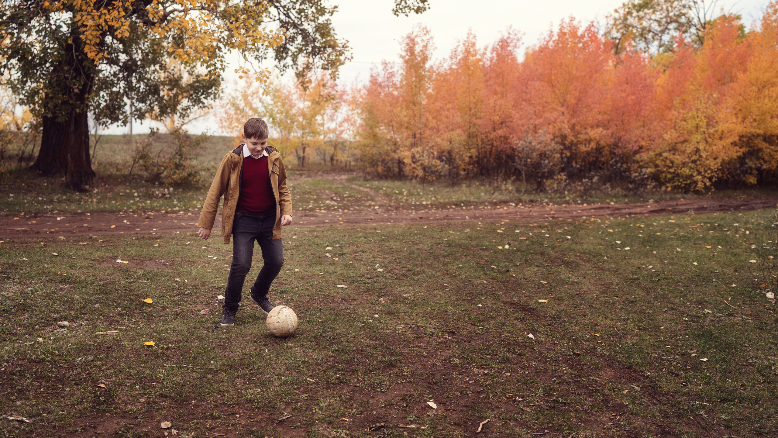 Осенний пикник. Семейный фотограф Новая Рига (Звенигород, Истра) Евгения Литовченко