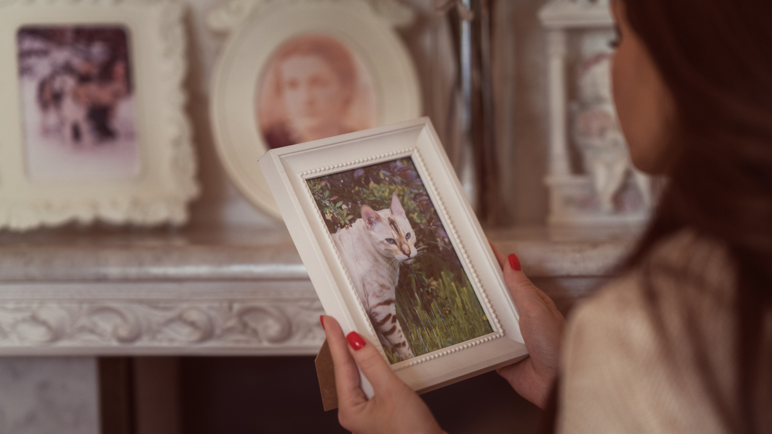 Путь домой. Семейный фотограф Новая Рига (Звенигород, Истра) Евгения Литовченко