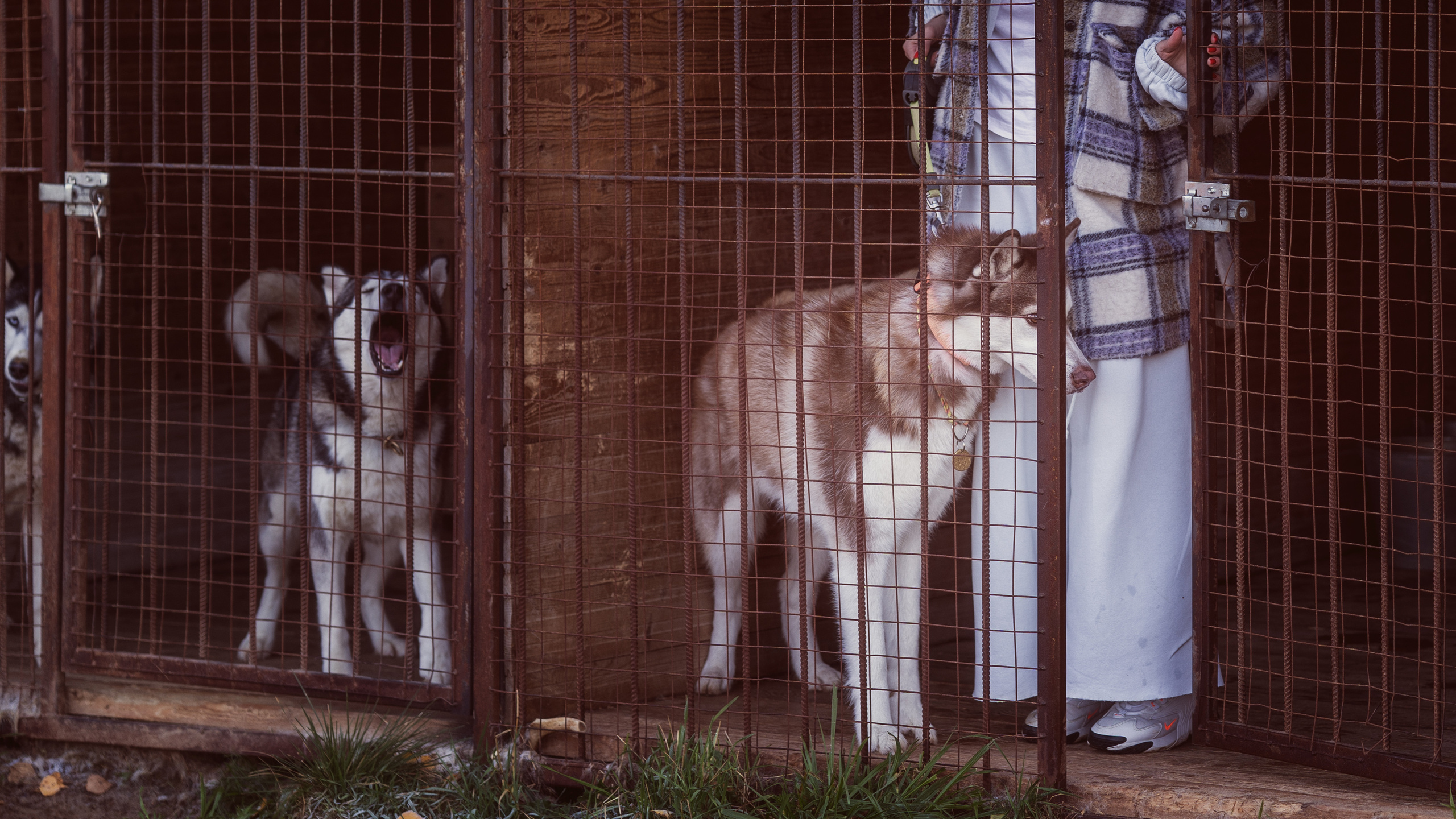 Путь домой. Семейный фотограф Новая Рига (Звенигород, Истра) Евгения Литовченко