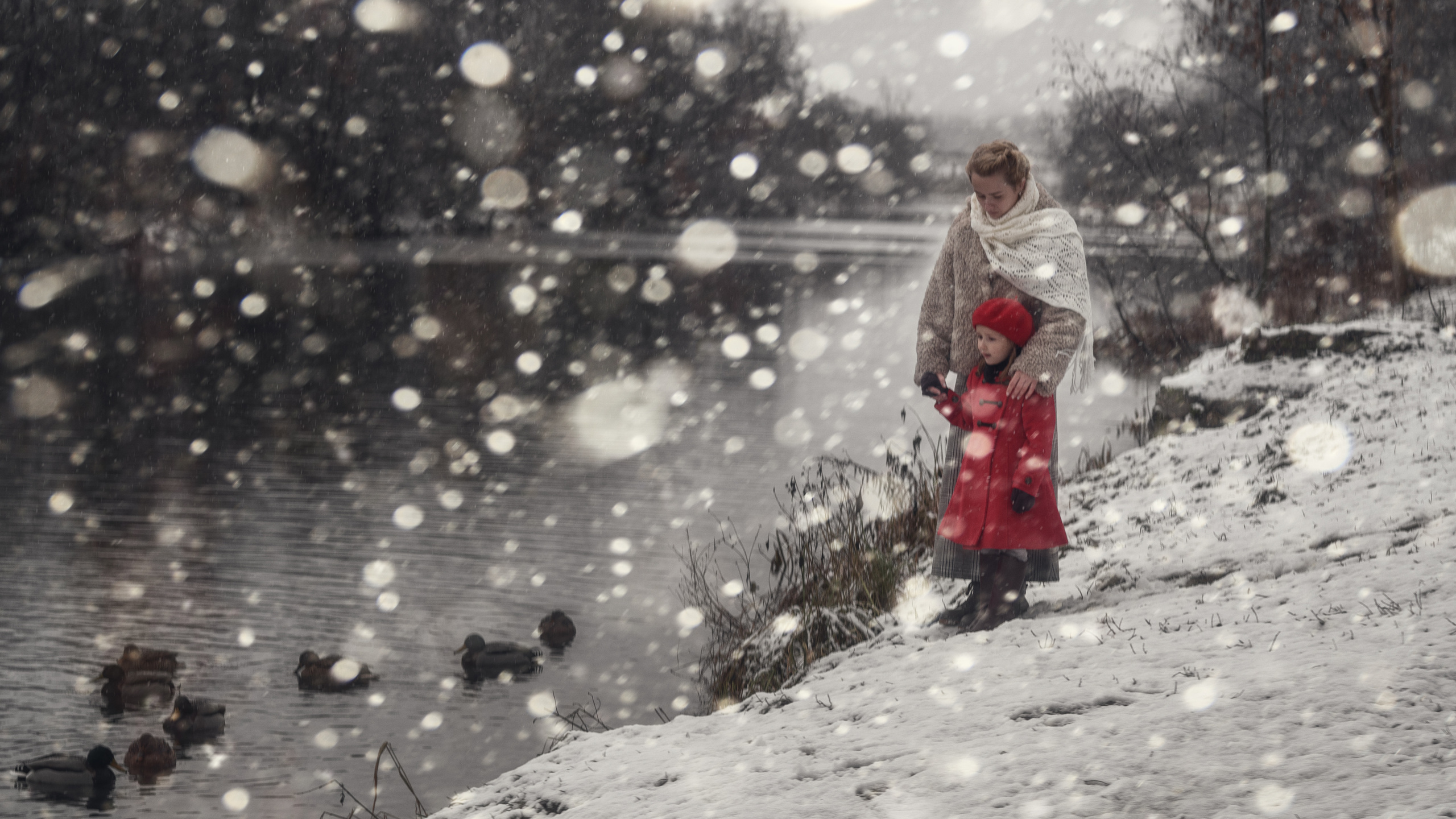 Медвежонок Паддингтон. Семейный фотограф Новая Рига (Звенигород, Истра) Евгения Литовченко